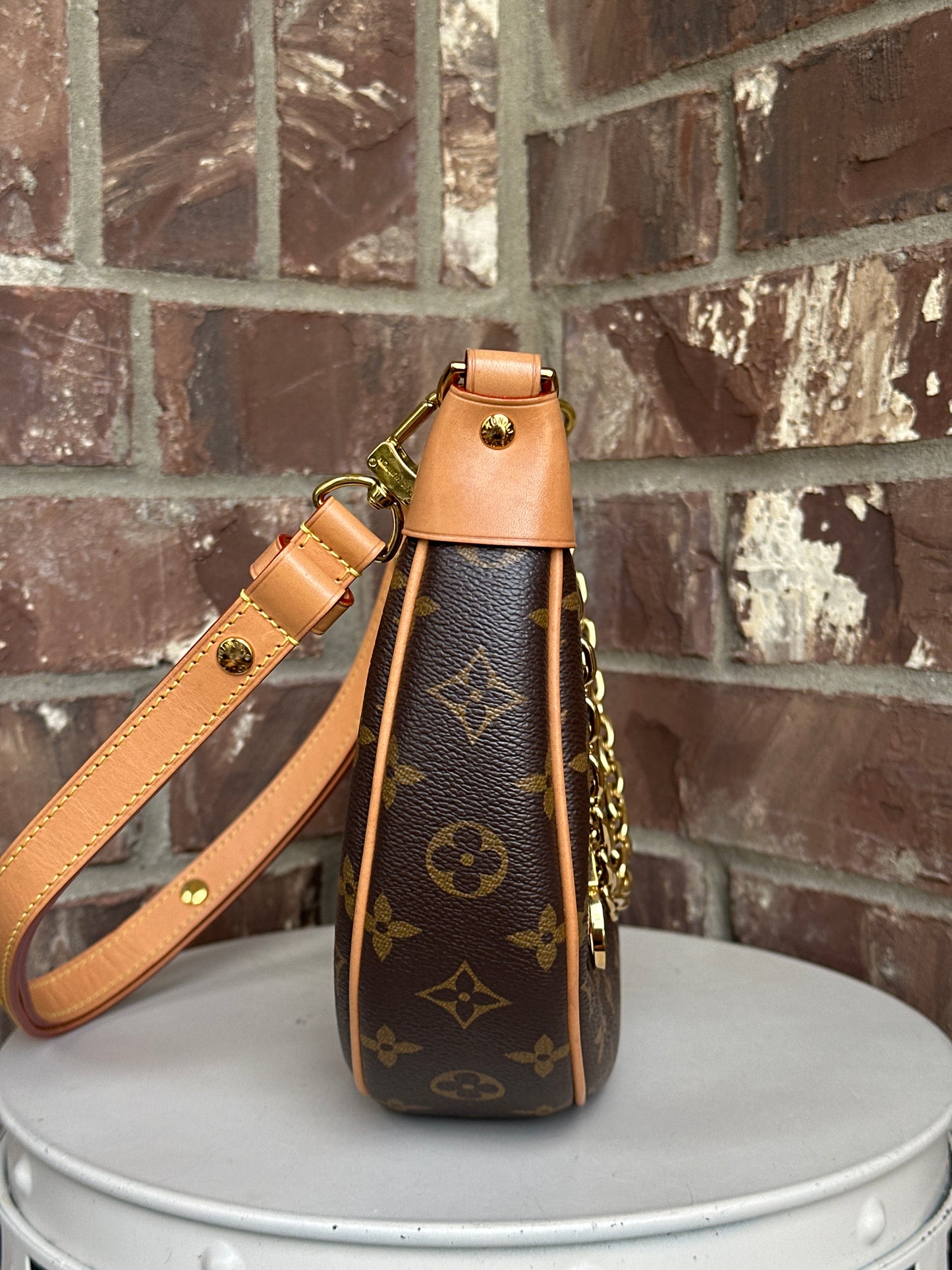 Louis Vuitton Loop Handbag Monogram Canvas 76778
