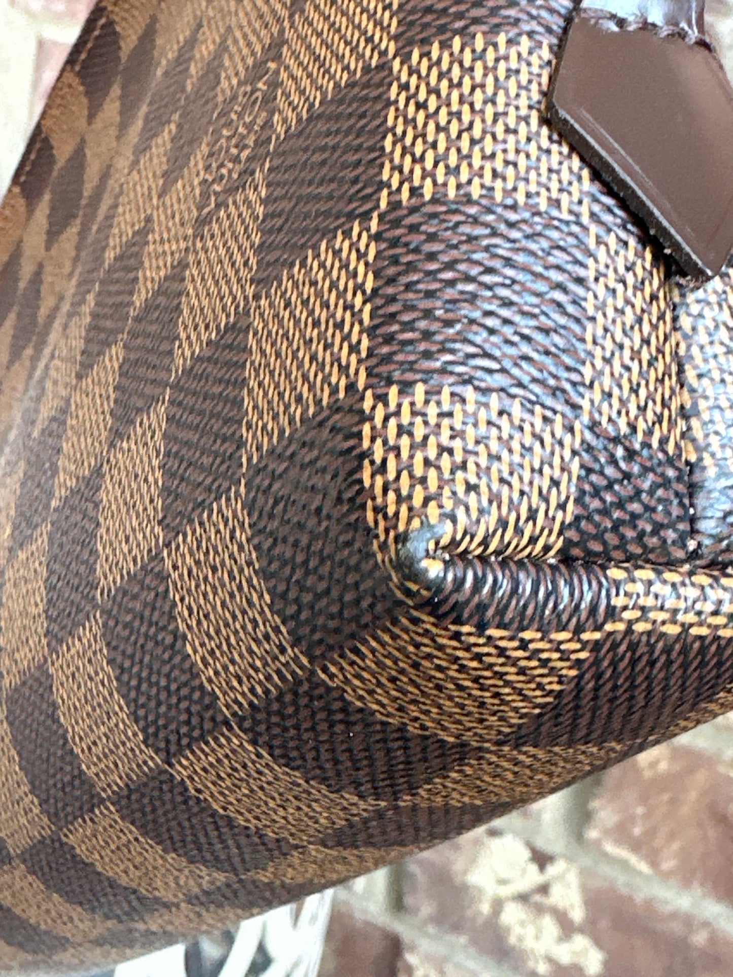 Louis Vuitton Cosmetic Pouch Monogram Canvas Ebene GM 59982
