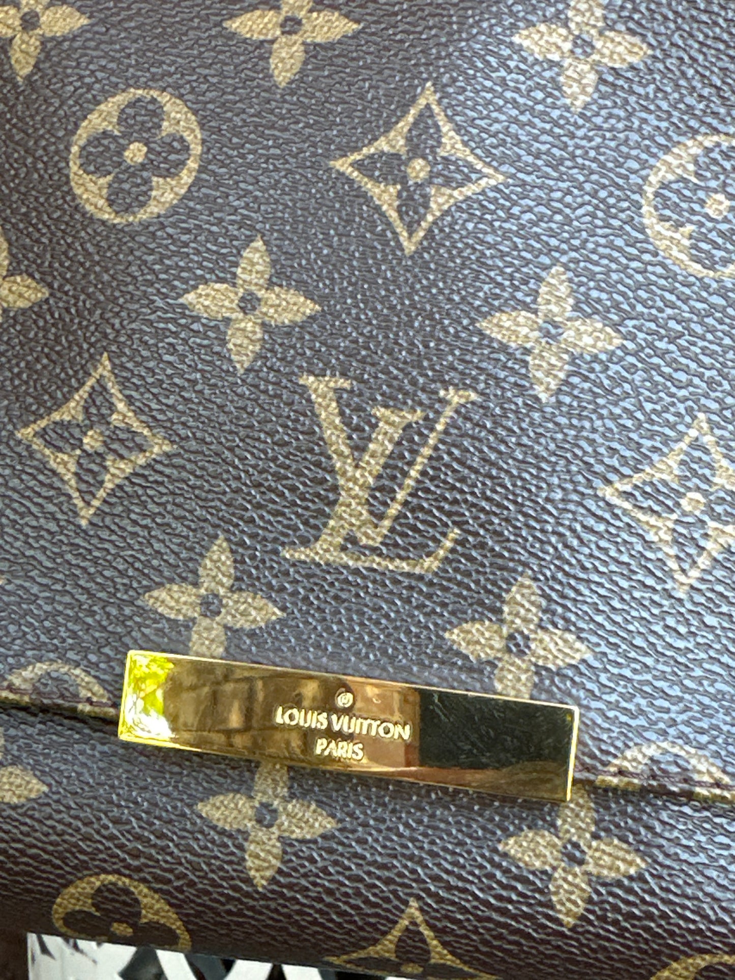 Louis Vuitton Favorite Handbag Monogram Canvas MM 83006