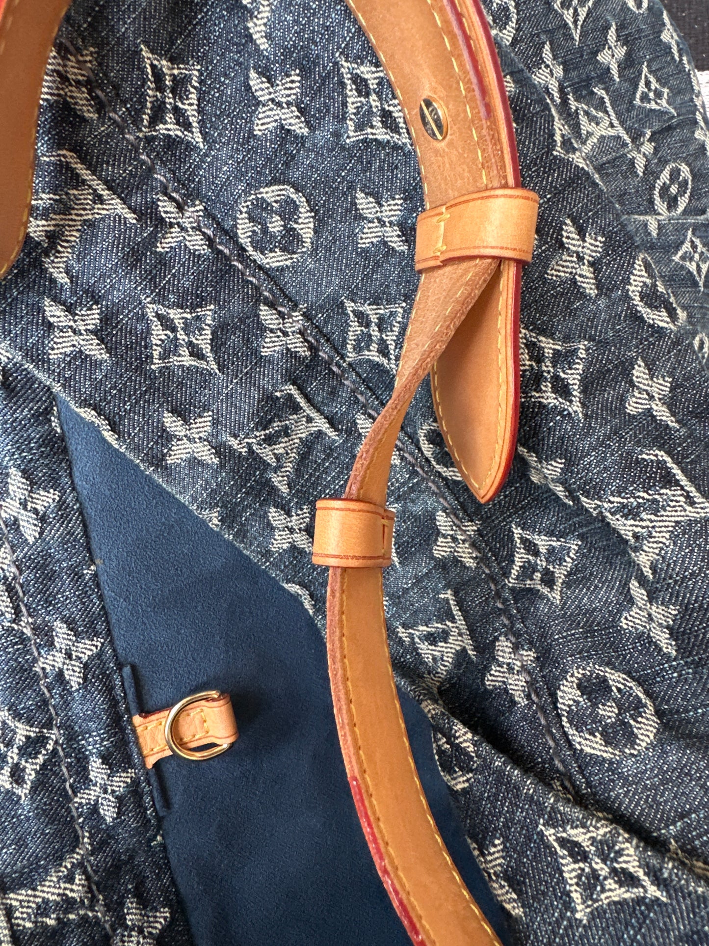 Louis Vuitton Denim Daily GM 679002