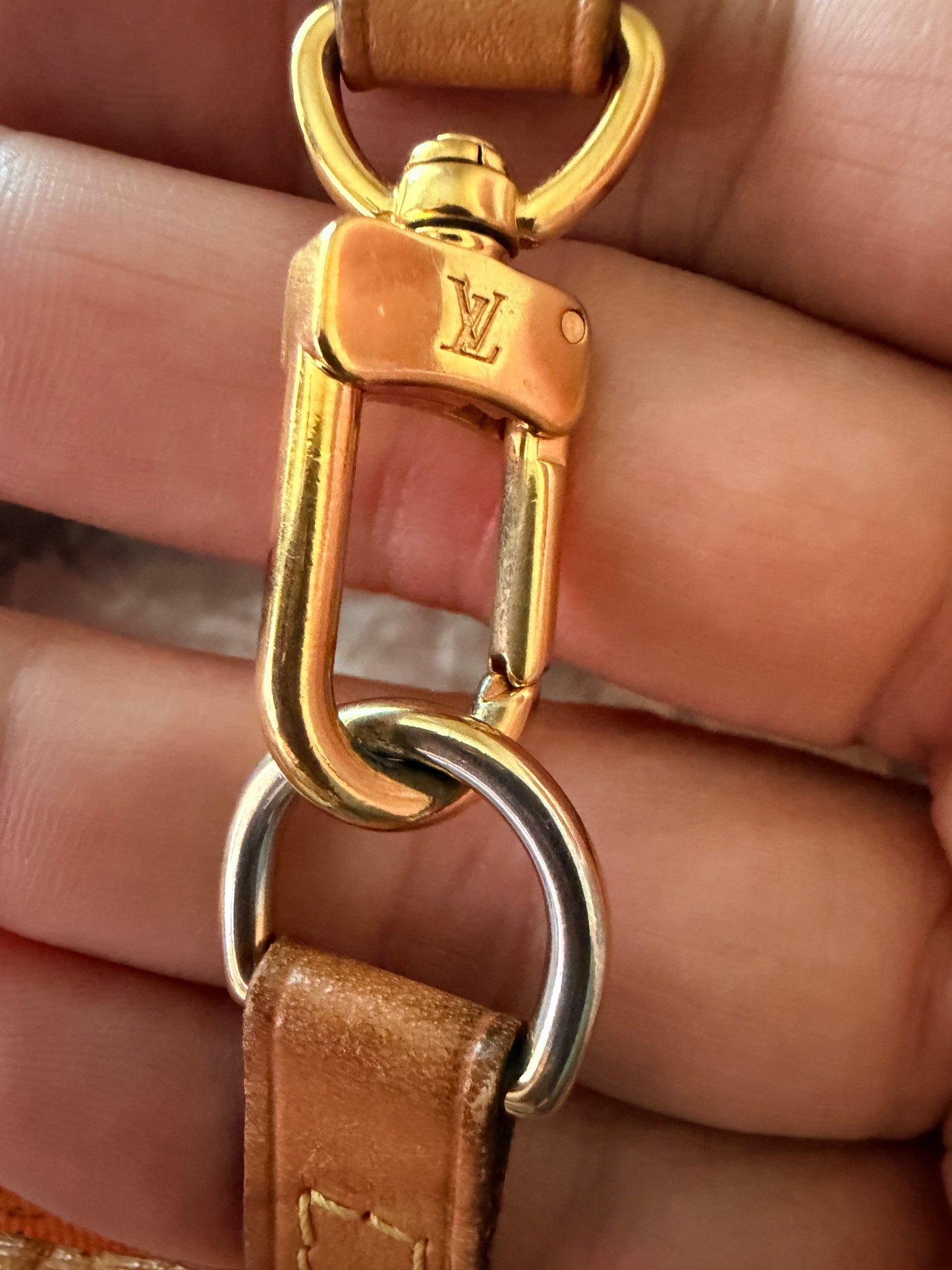 Louis Vuitton Catogram Neverfull MM 58274