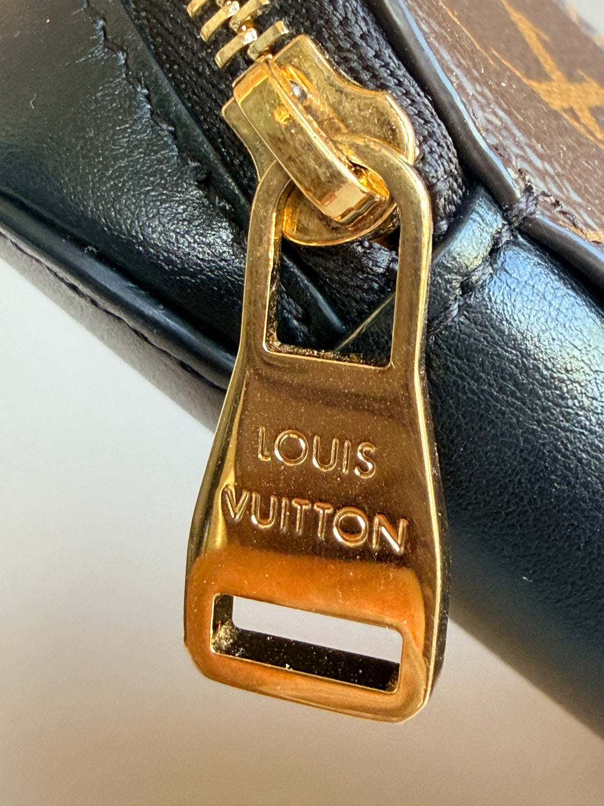 Louis Vuitton Monogram Canvas Sunglasses GM Pouch Brown 73753