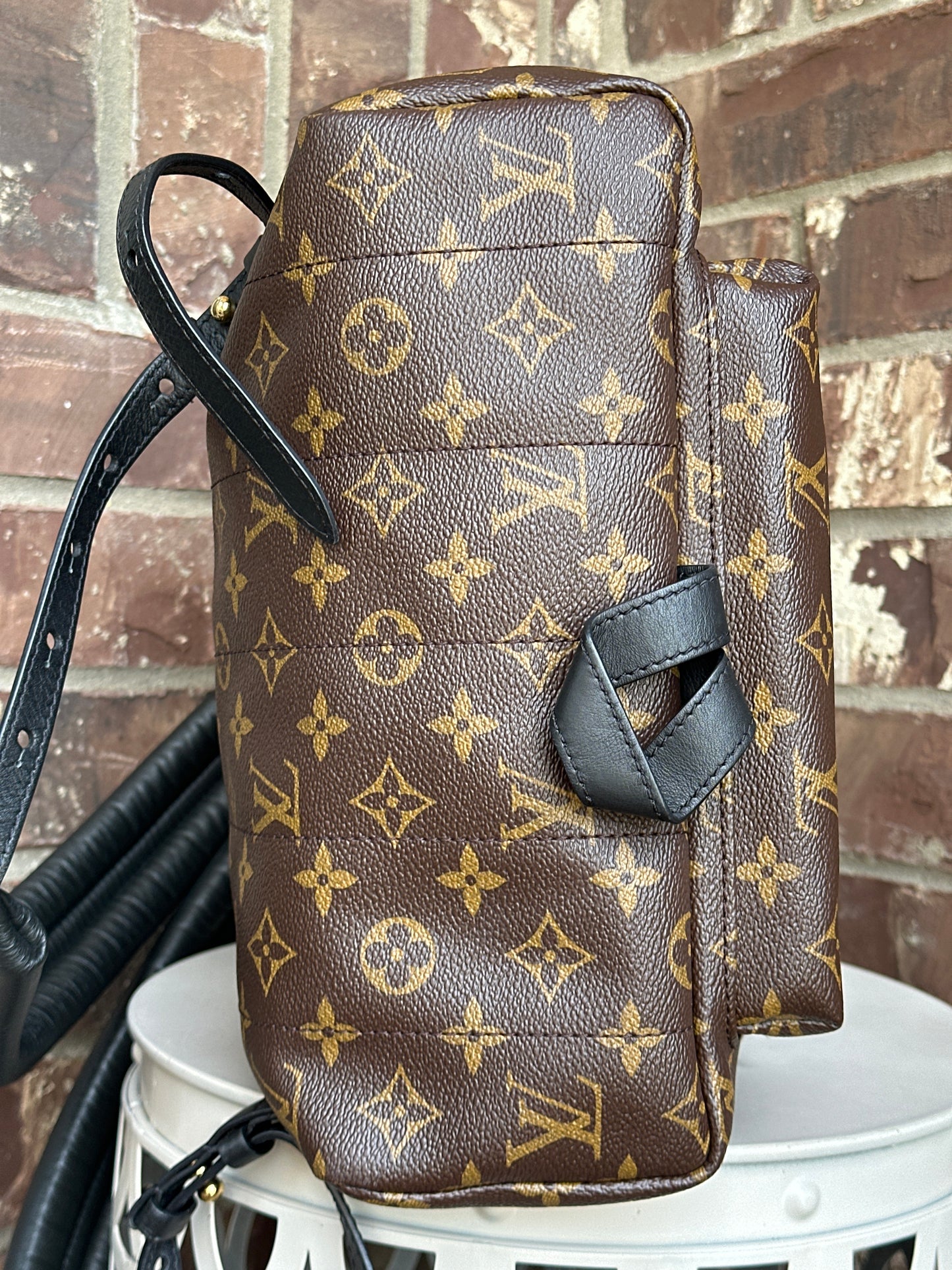 Louis Vuitton Palm Springs Backpack Monogram Canvas MM 311898