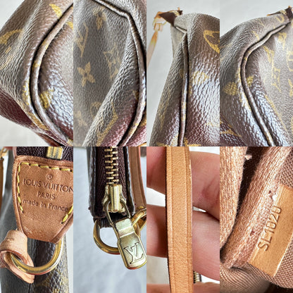 Louis Vuitton Pochette Accessoires Monogram 10209