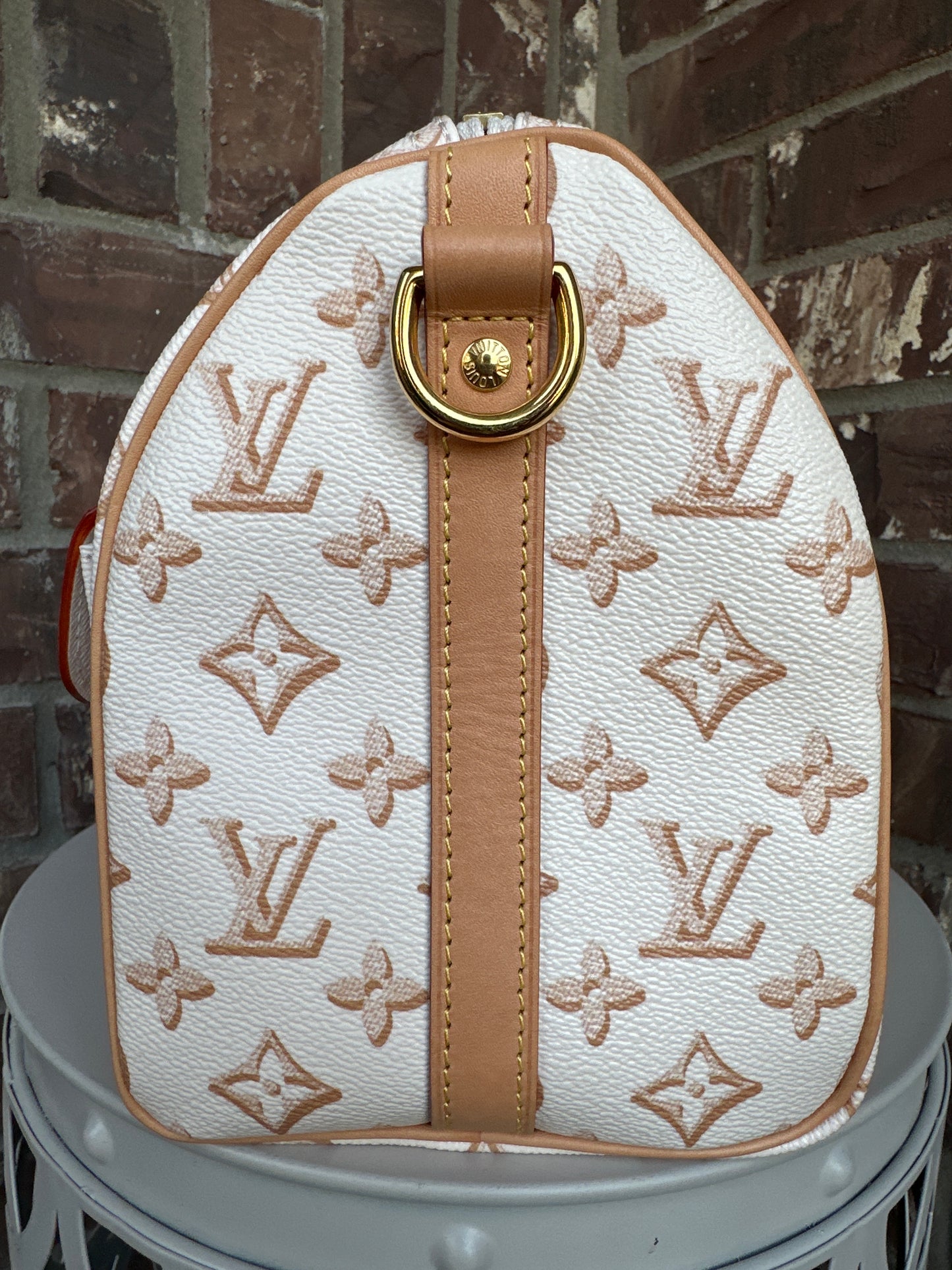 Louis Vuitton Speedy Bandouliere Bag Fall for You Monogram Canvas 25