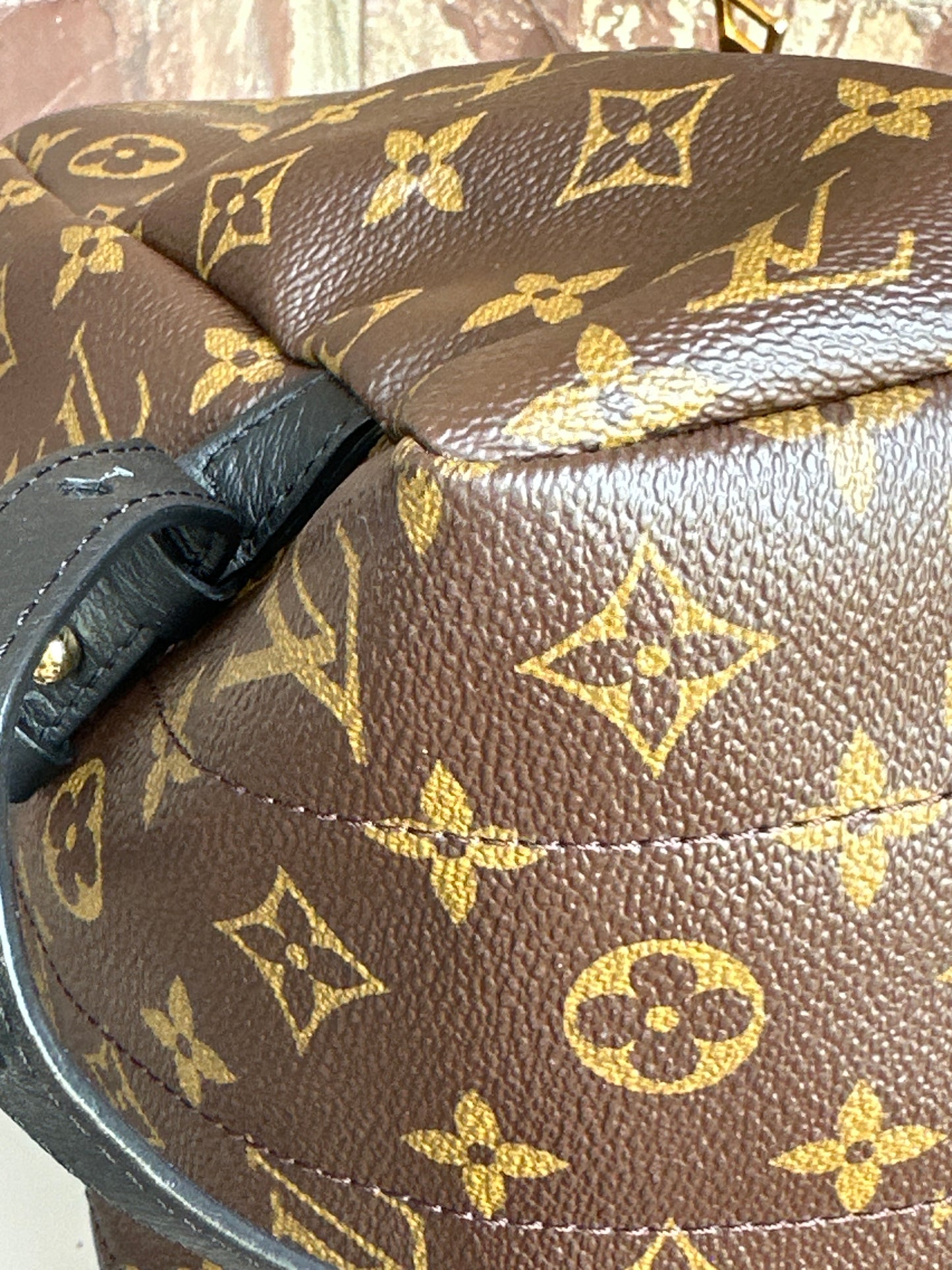 Louis Vuitton Palm Springs Backpack Monogram Canvas MM 311898