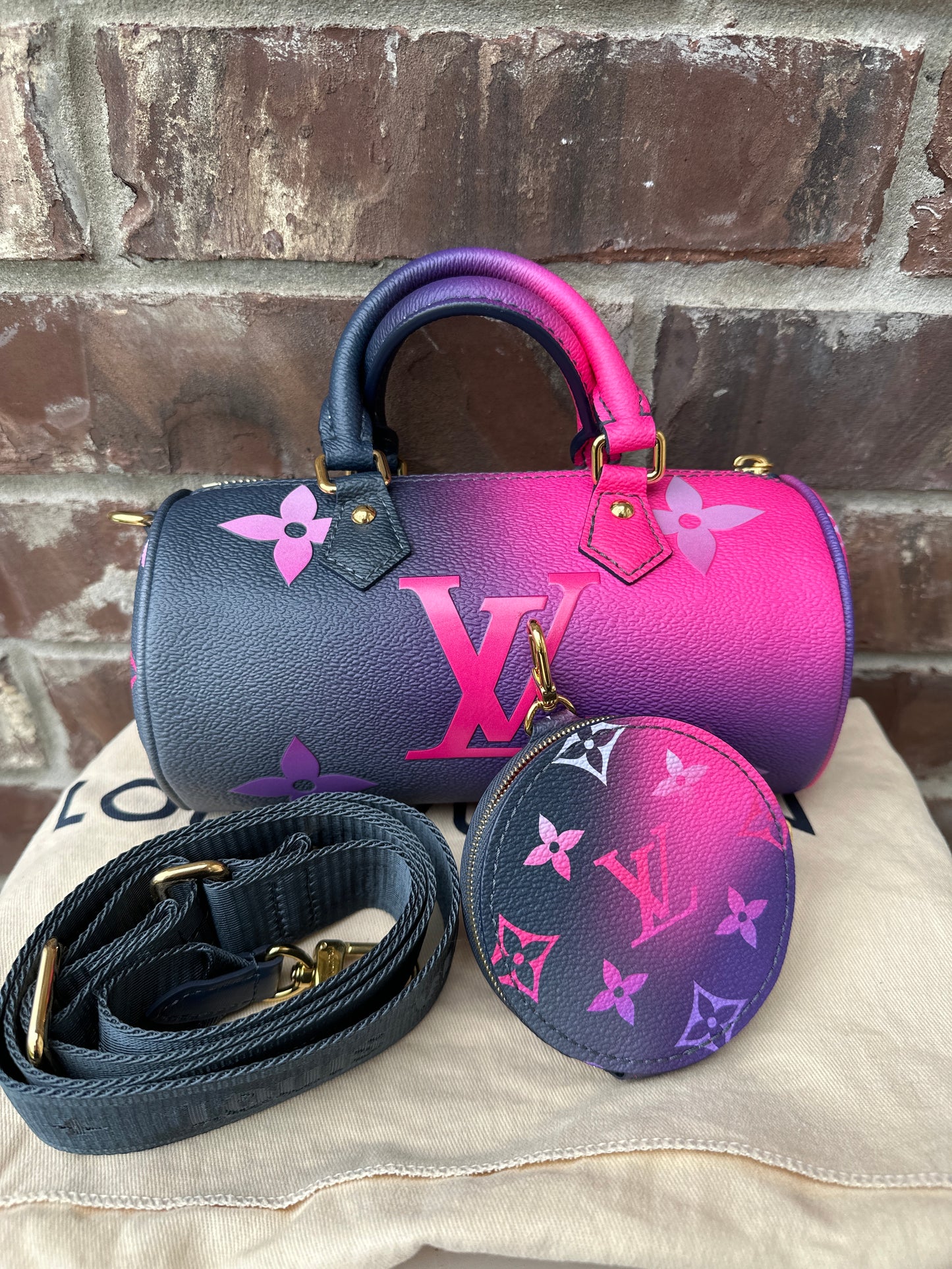 Louis Vuitton Monogram Giant Spring in The City Papillion BB