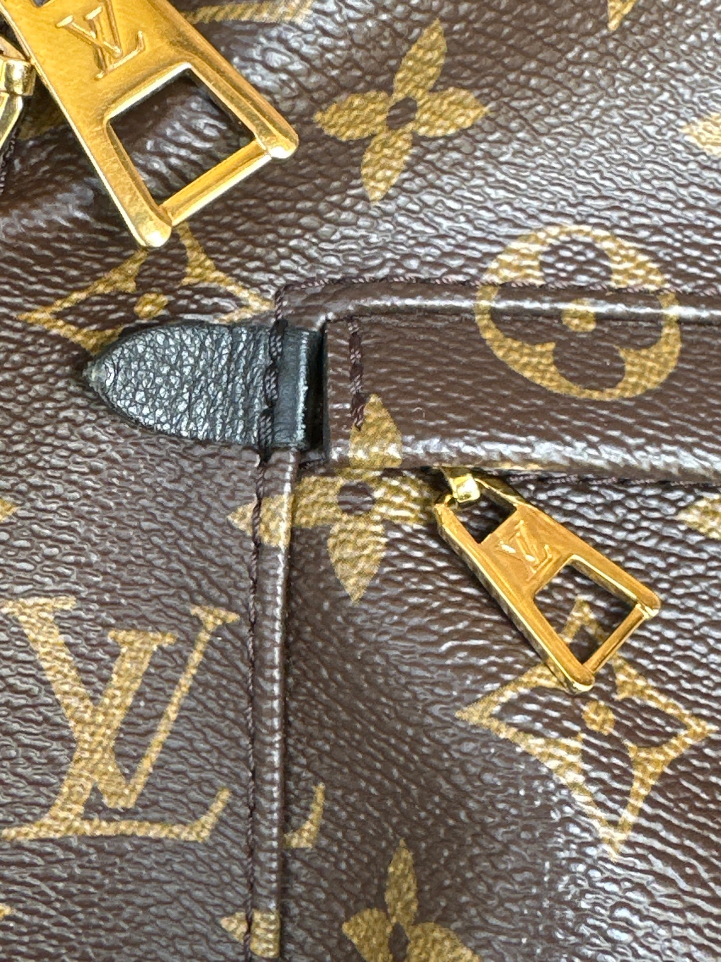 Louis Vuitton Palm Springs Backpack Monogram Canvas MM 311898