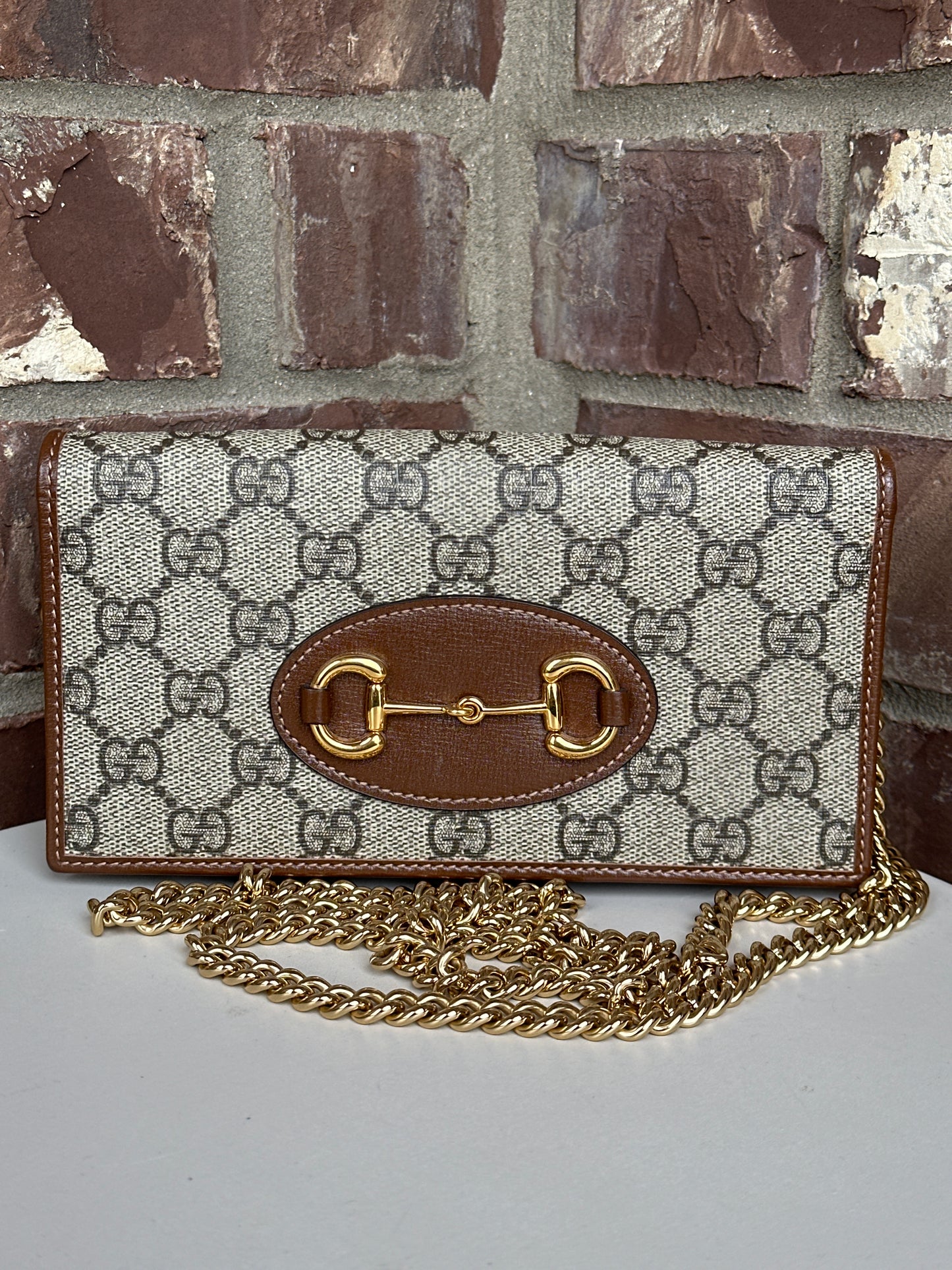 Gucci Horsebit 1955 Chain Wallet GG Coated Canvas