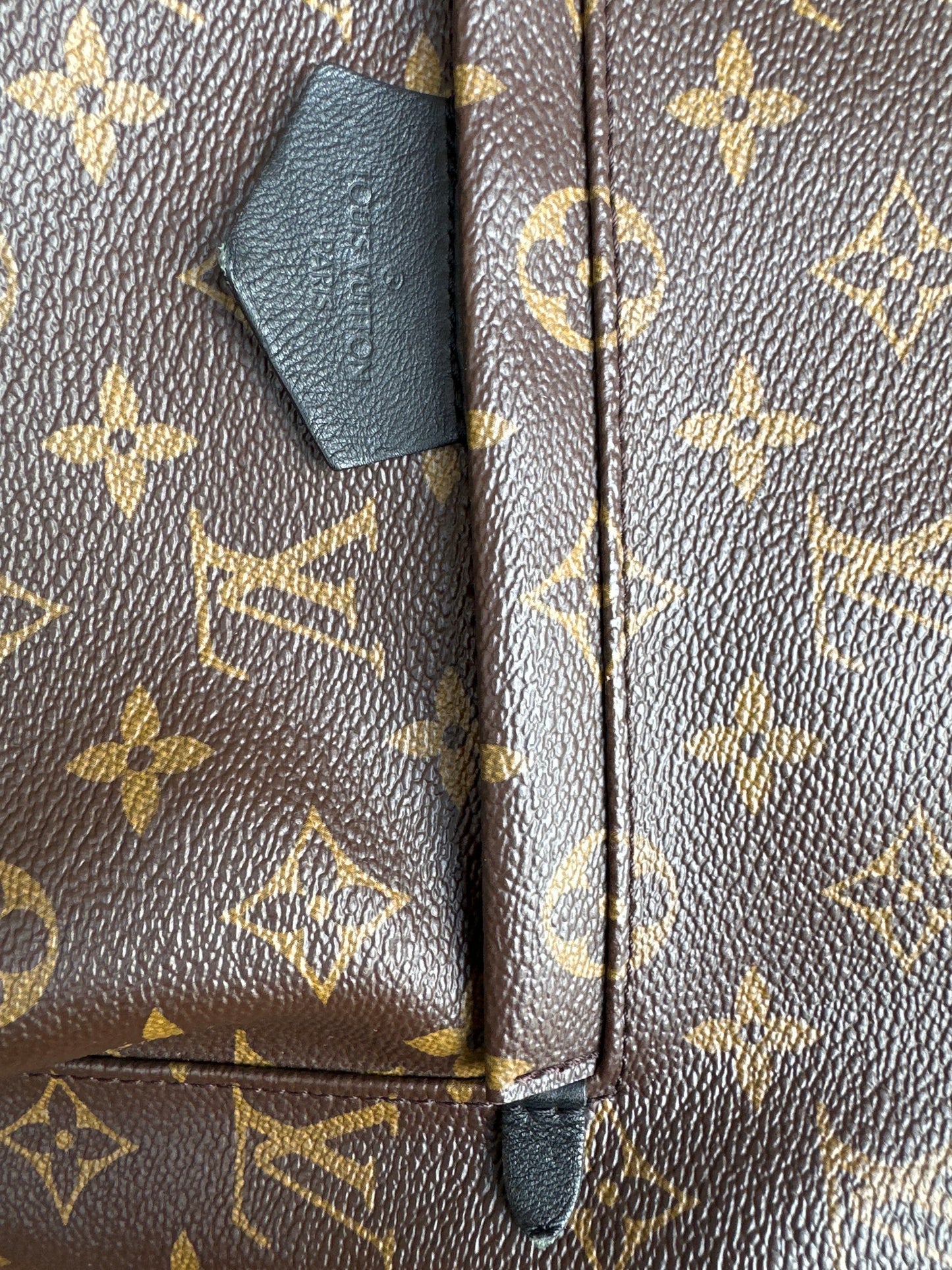 Louis Vuitton Palm Springs Backpack Monogram Canvas MM 311898