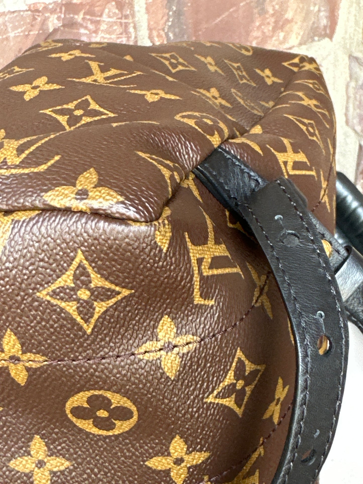 Louis Vuitton Palm Springs Backpack Monogram Canvas MM 311898
