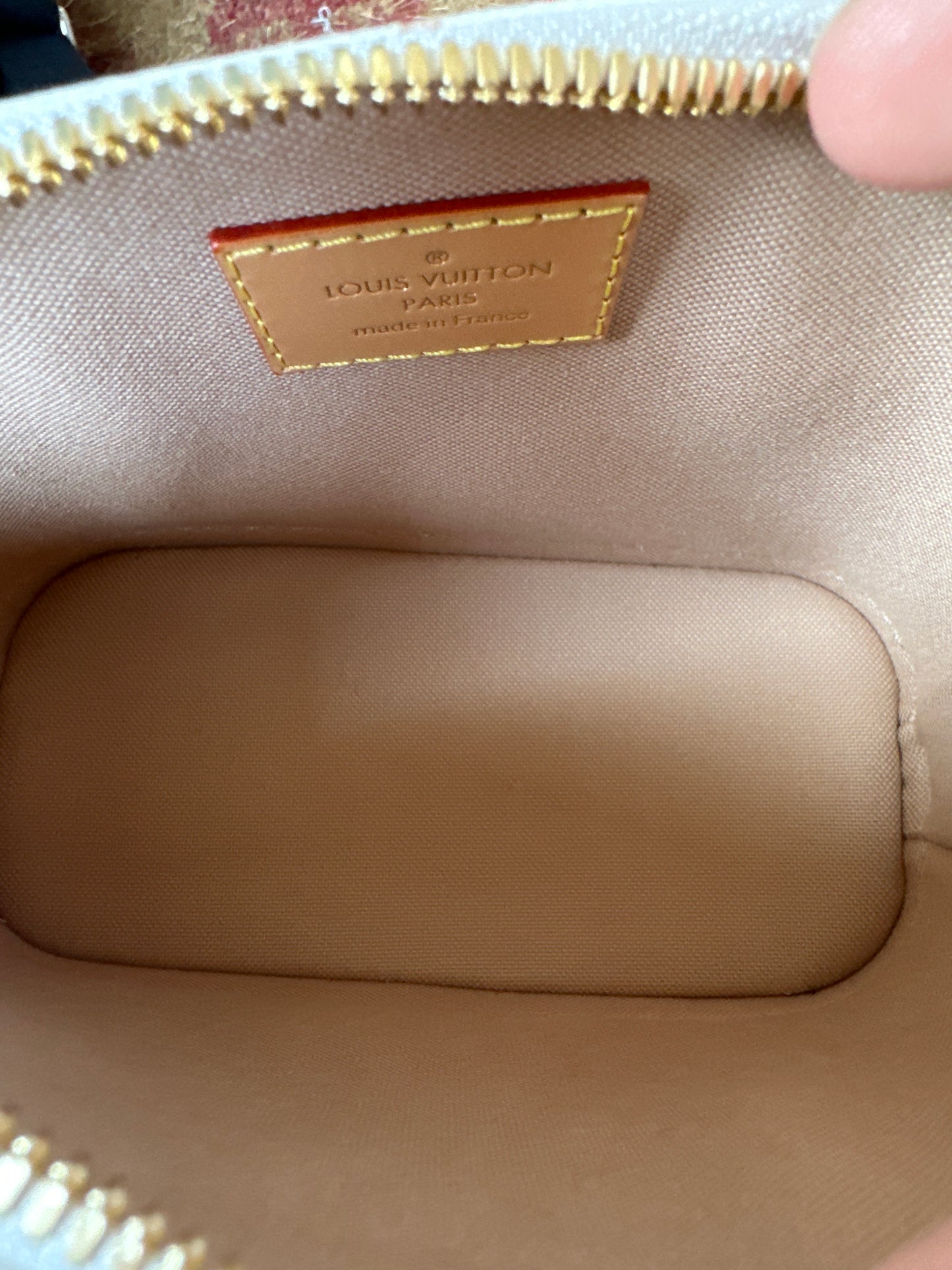 Louis Vuitton Alma Handbag Monogram Dune Canvas Nano