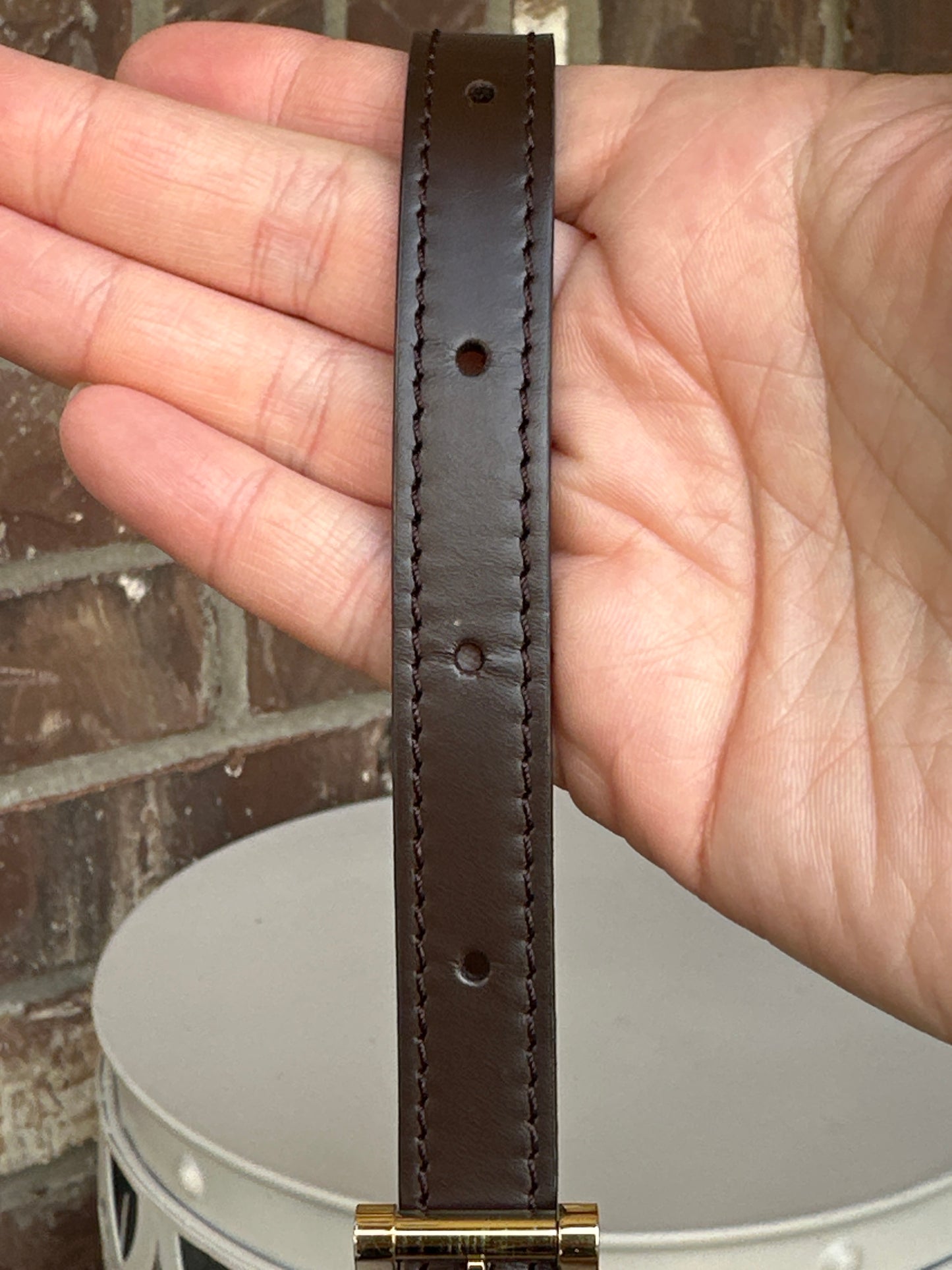 Louis Vuitton Musette Salsa Damier Ebene 309985