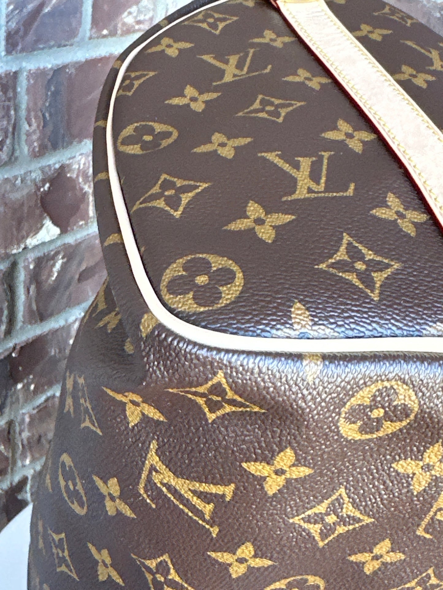 Louis Vuitton Speedy Bandolliere 35 67123