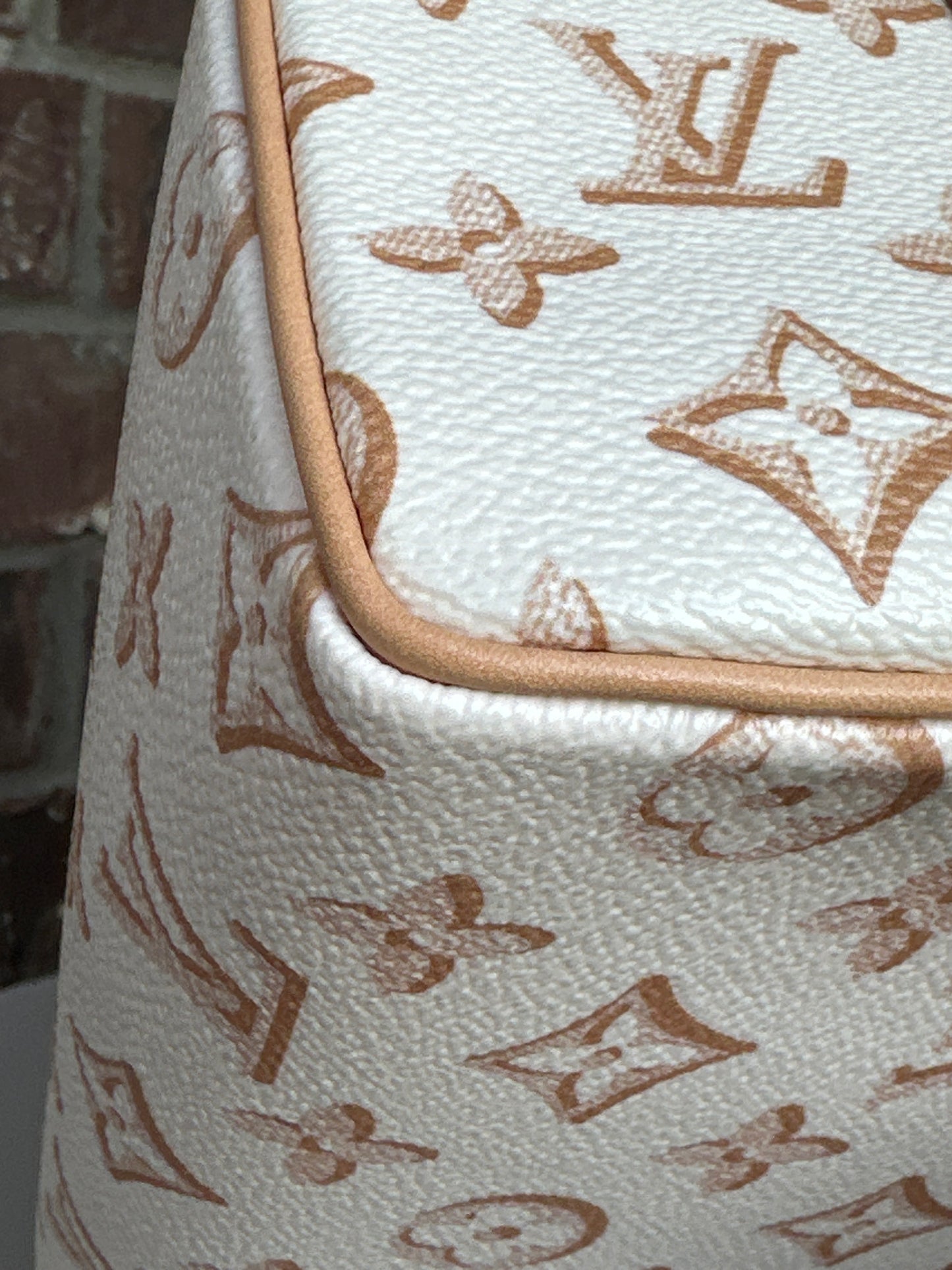 Louis Vuitton Speedy Bandouliere Bag Fall for You Monogram Canvas 25