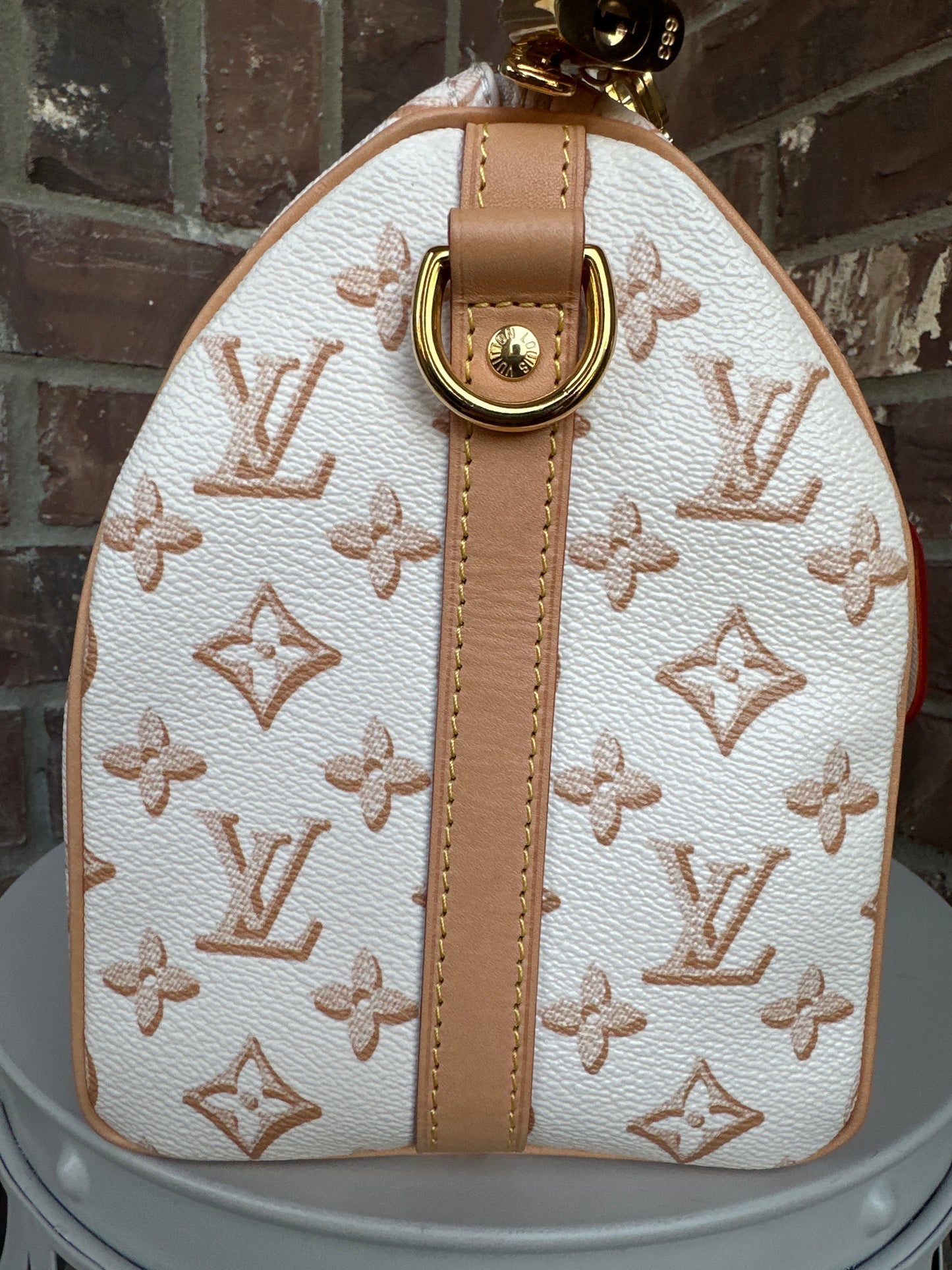 Louis Vuitton Speedy Bandouliere Bag Fall for You Monogram Canvas 25