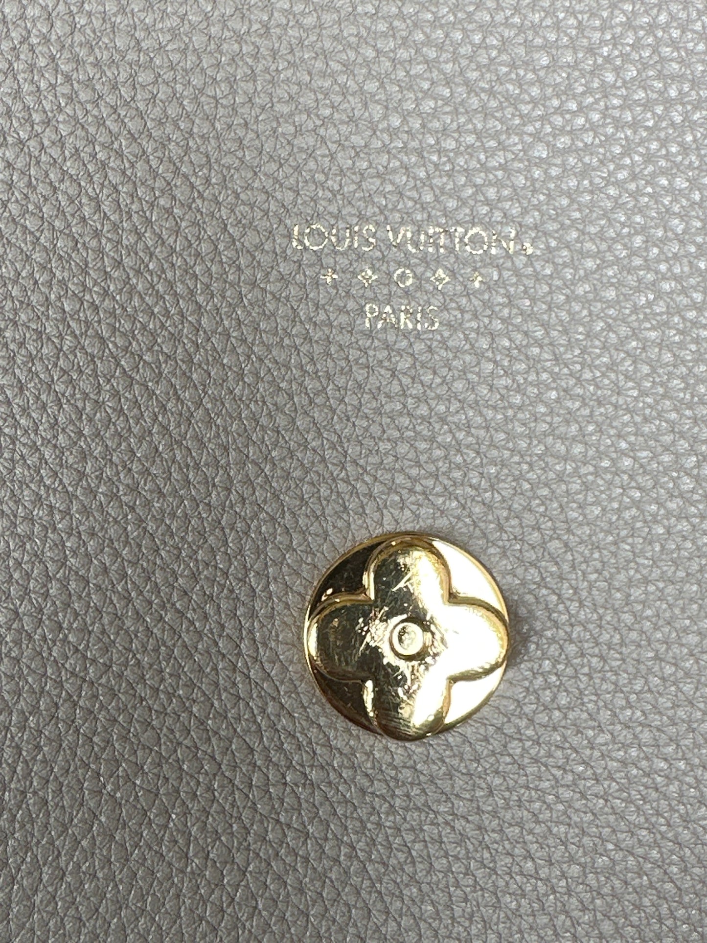 Louis Vuitton LV Pont 9 Soft Bag Leather PM 544567