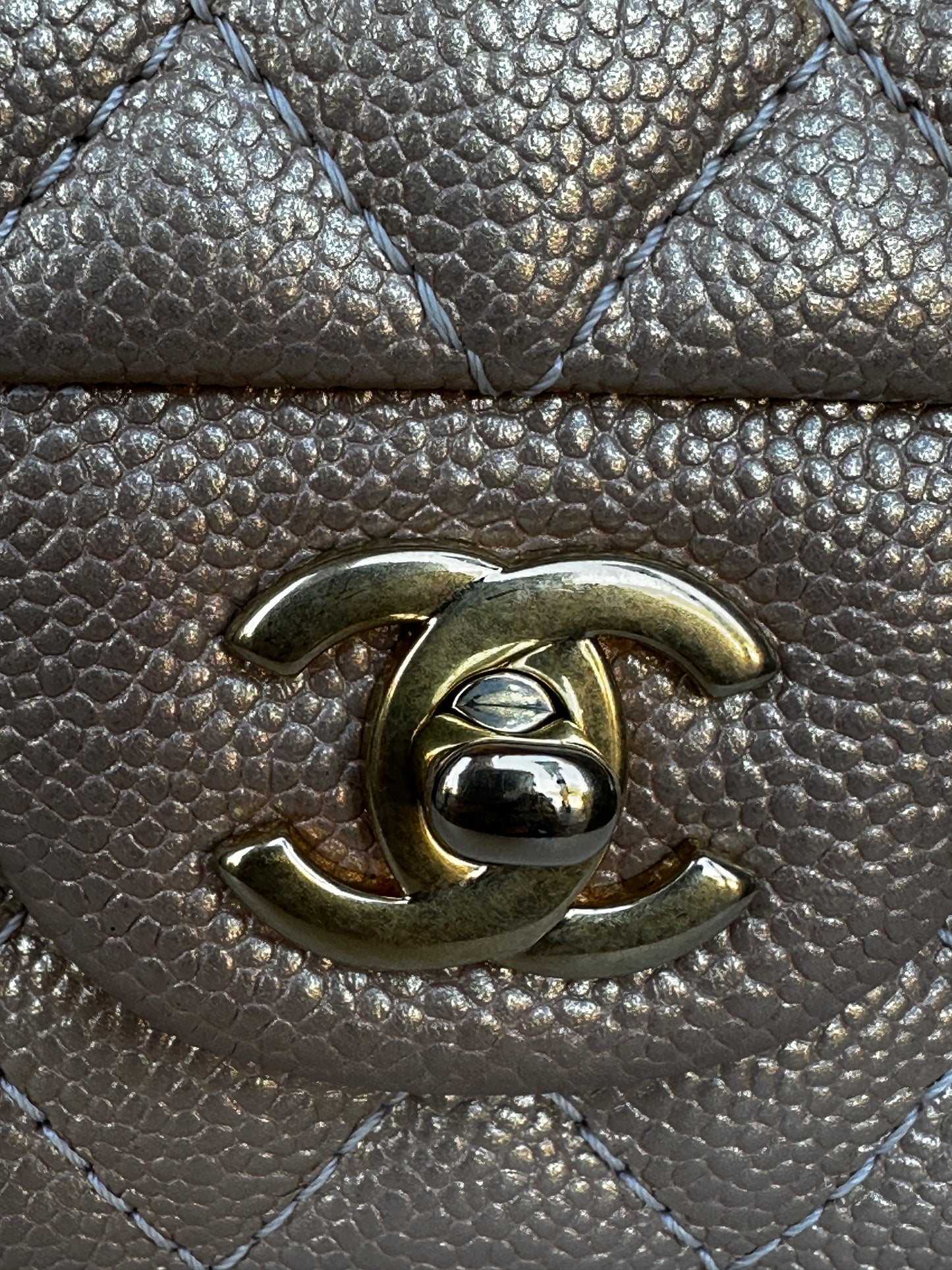 Chanel Classic Double Flap Iridescent Quilted Caviar Medium 42278