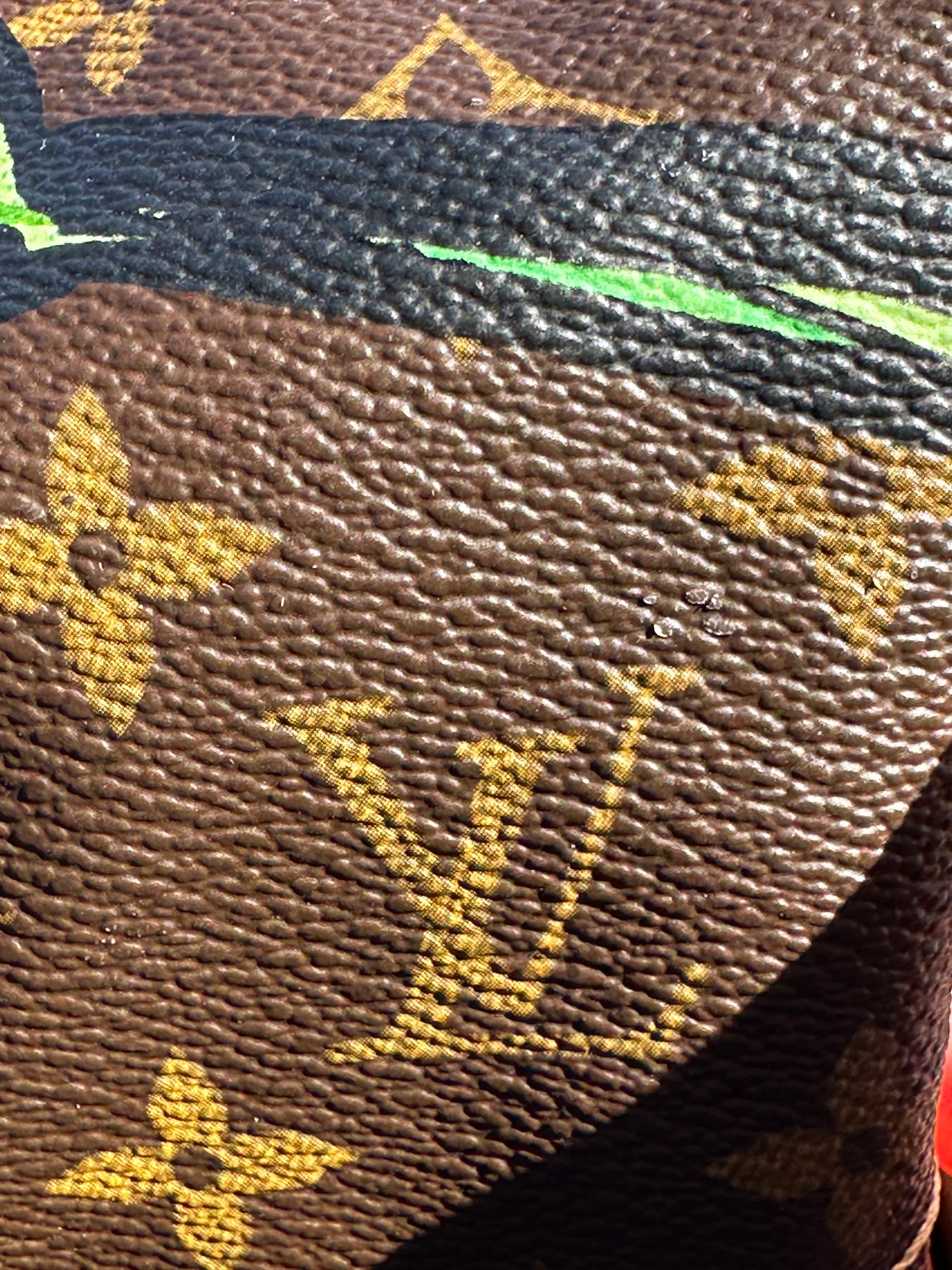 Louis Vuitton Limited Edition Monogram Speedy Roses 30 51189