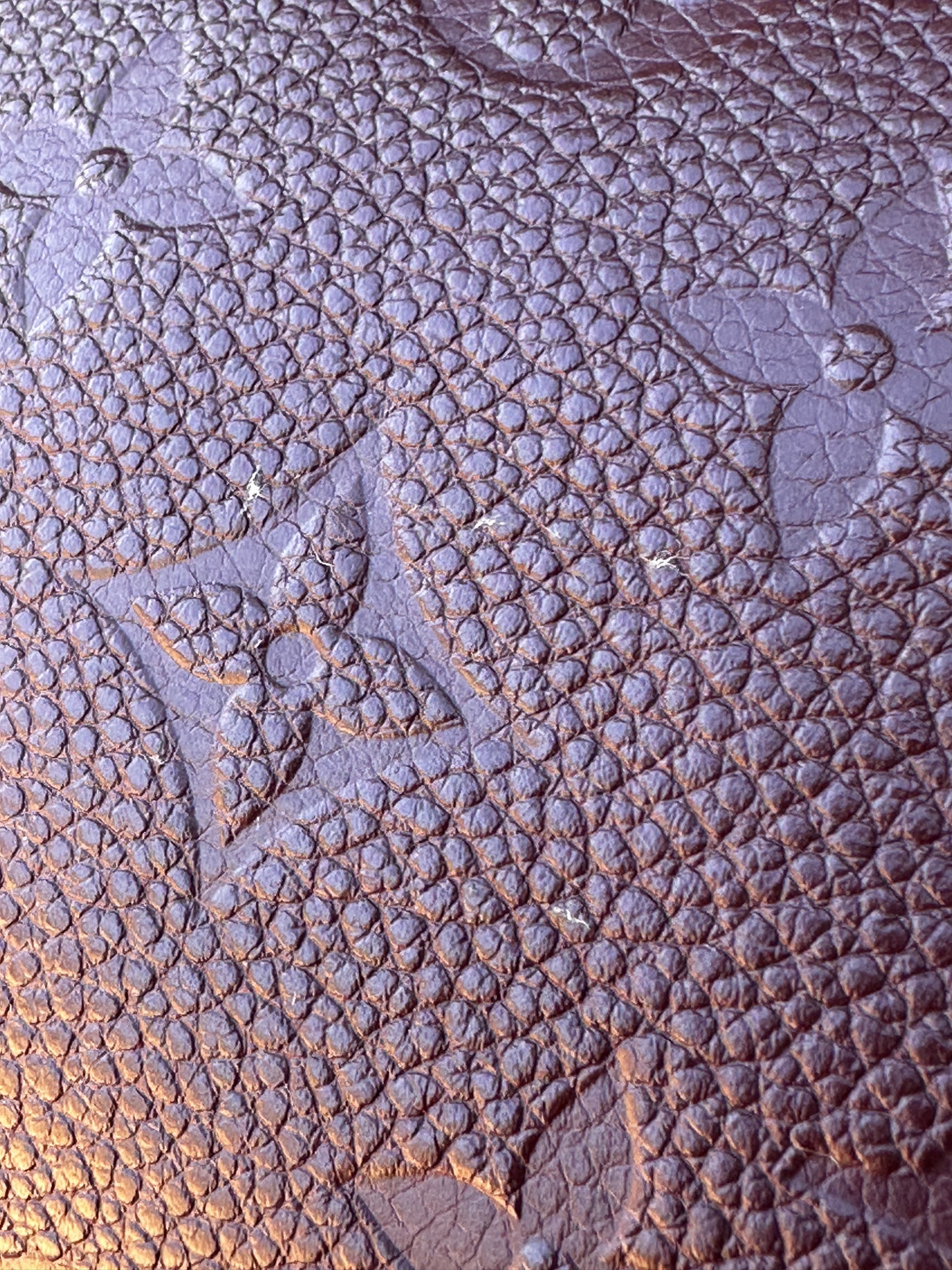 Louis Vuitton Sac Sport NM Empreinte Leather 68098