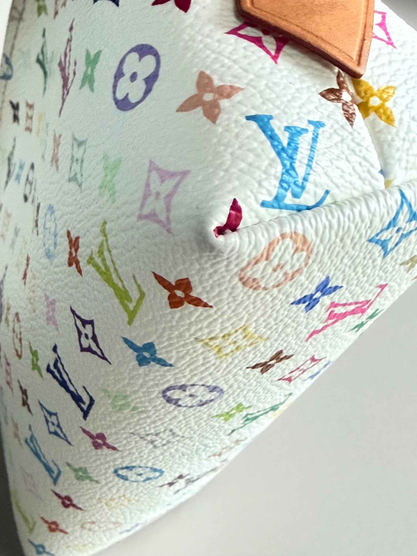 Louis Vuitton Multicolor Cosmetic Case  PM 54389