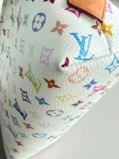 Louis Vuitton Multicolor Cosmetic Case  PM 54389