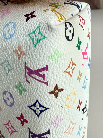 Louis Vuitton Multicolor Cosmetic Case  PM 54389