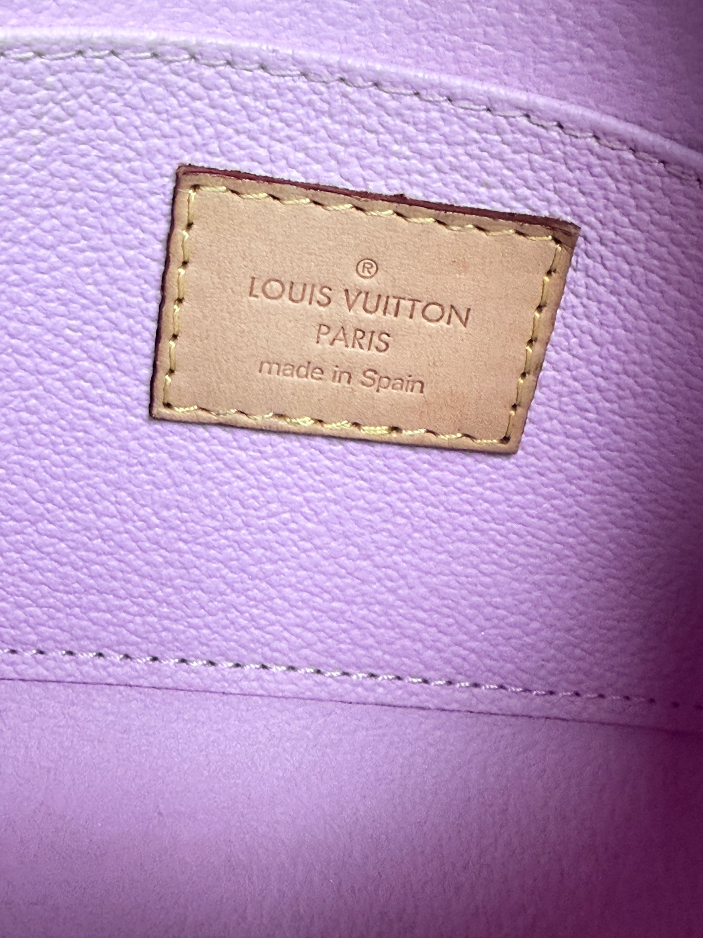 Louis Vuitton Multicolor Cosmetic Case  PM 54389