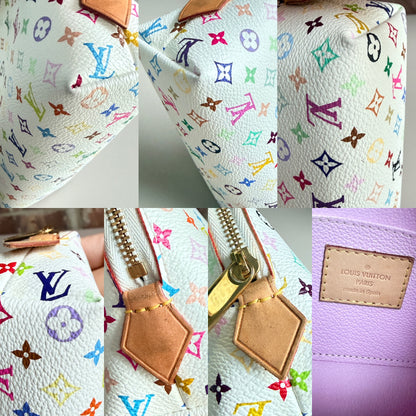 Louis Vuitton Multicolor Cosmetic Case  PM 54389