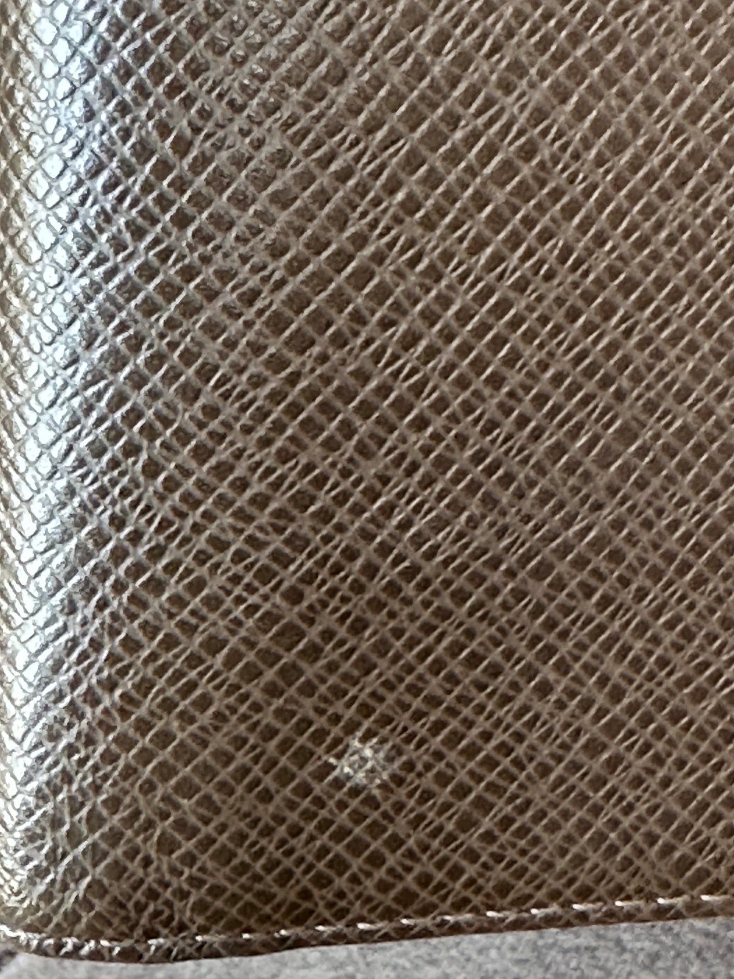 Louis Vuitton Agenda Taiga Leather MM