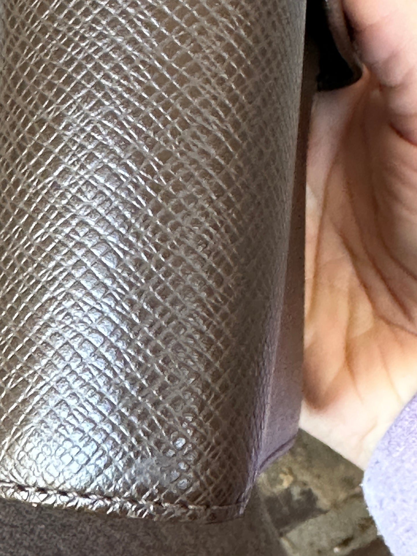 Louis Vuitton Agenda Taiga Leather MM