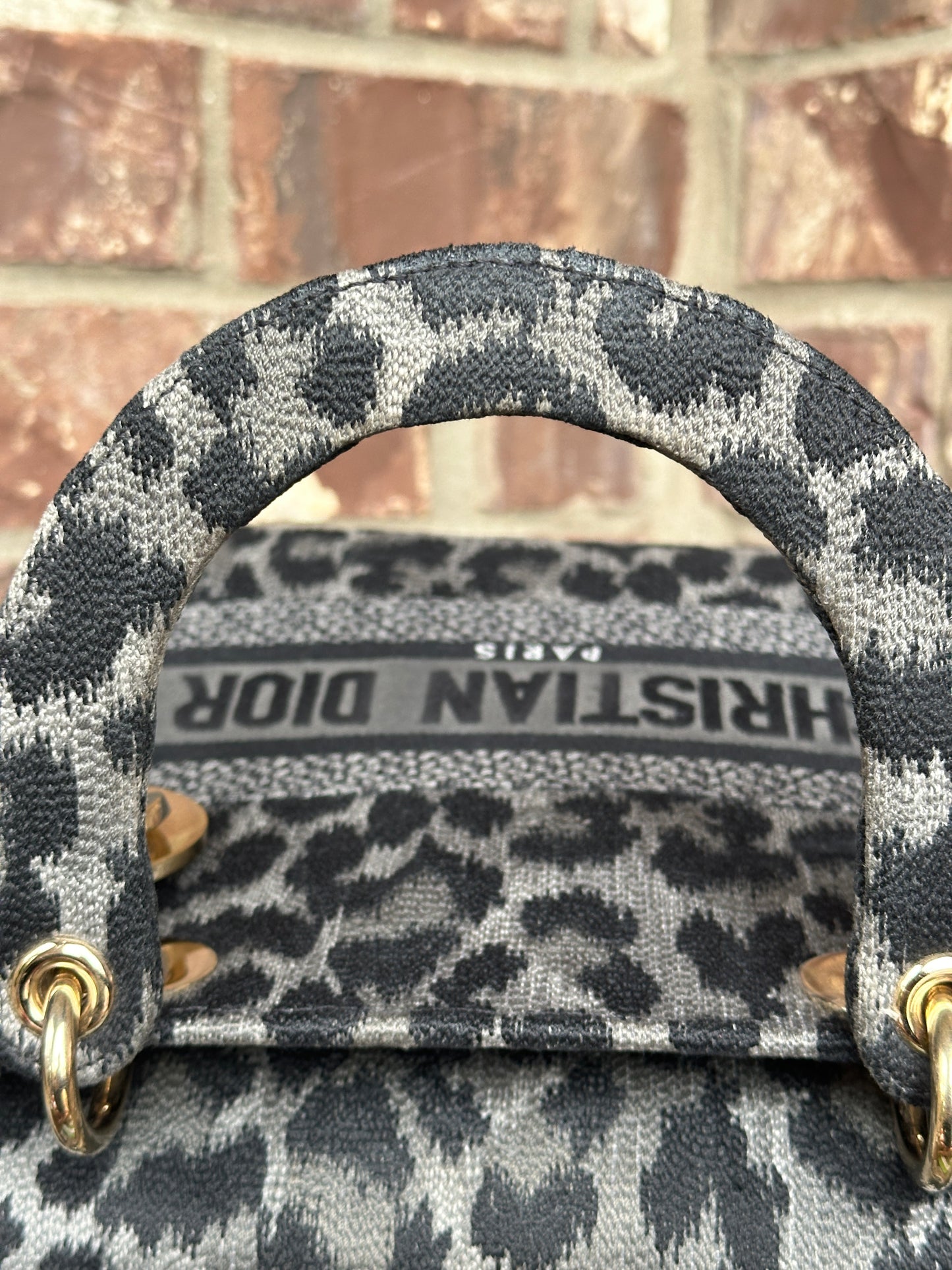 Christian Dior Lady D-Lite Bag Mizza Embroidered Canvas Medium 52213