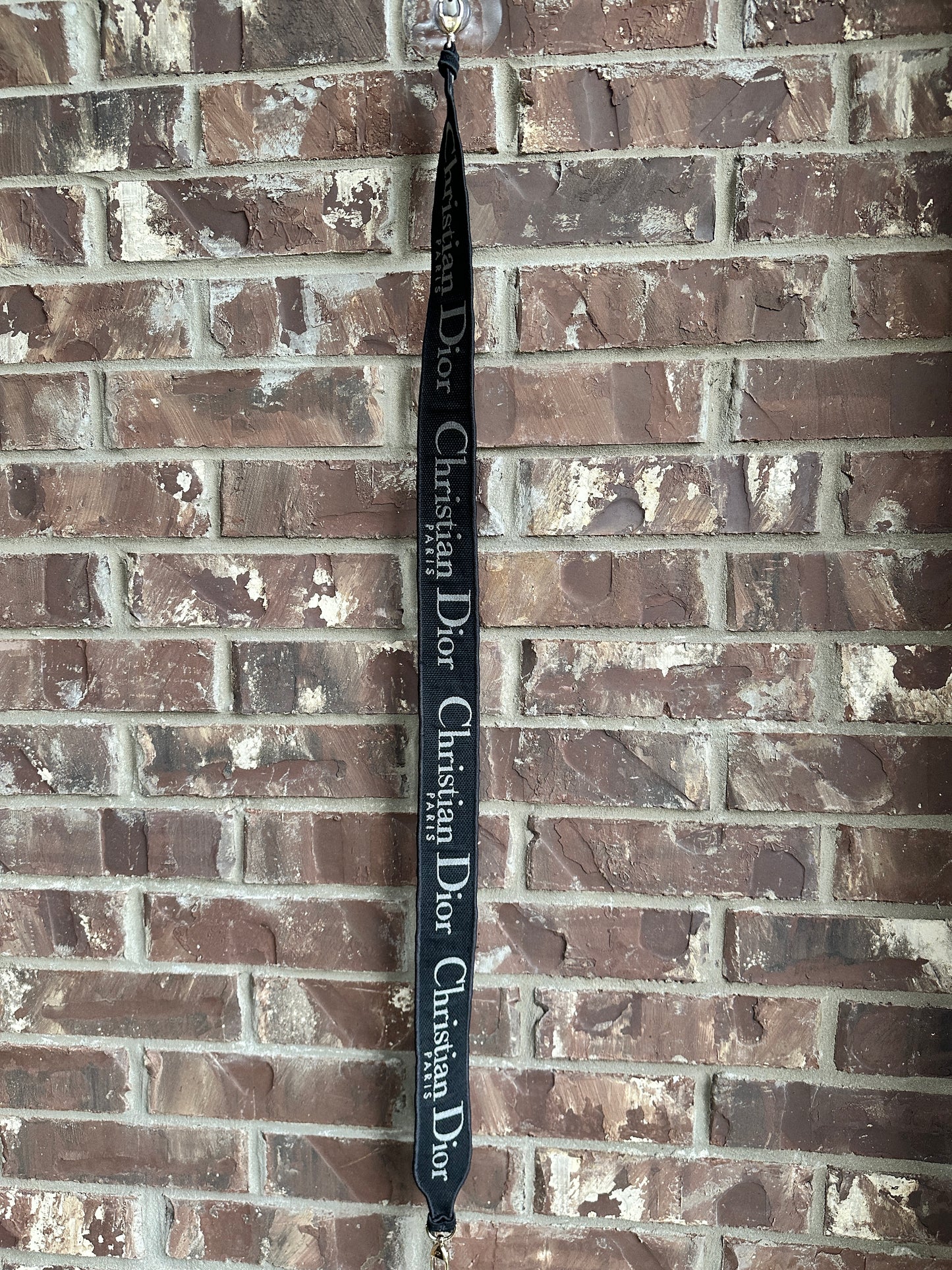 Christian Dior Lady D-Lite Bag Mizza Embroidered Canvas Medium 52213