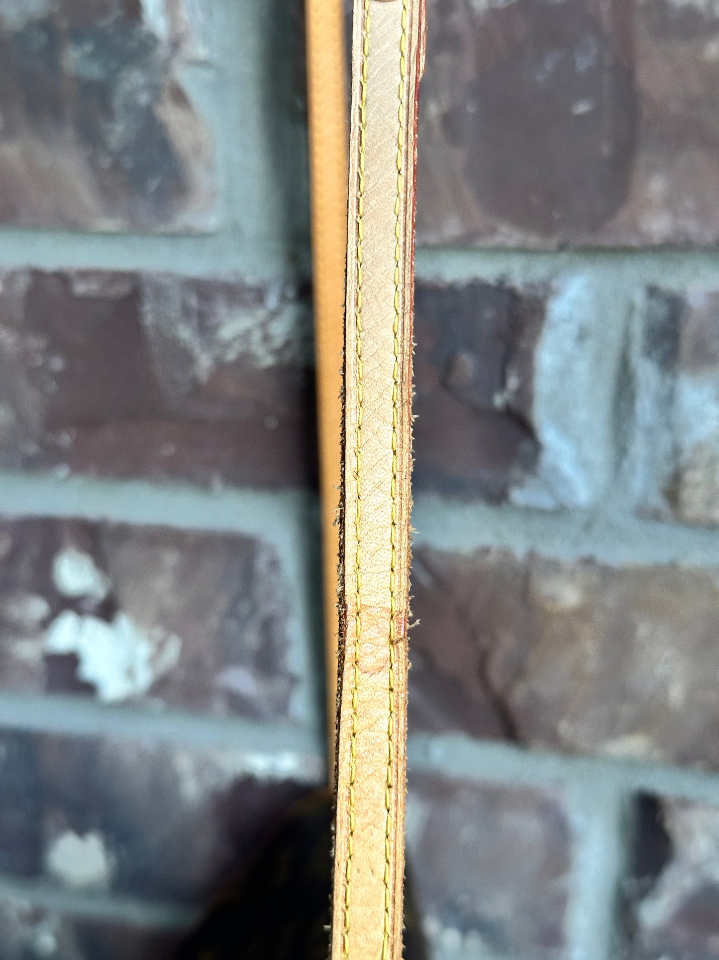 Louis Vuitton Twin Handbag Monogram Canvas GM 32215