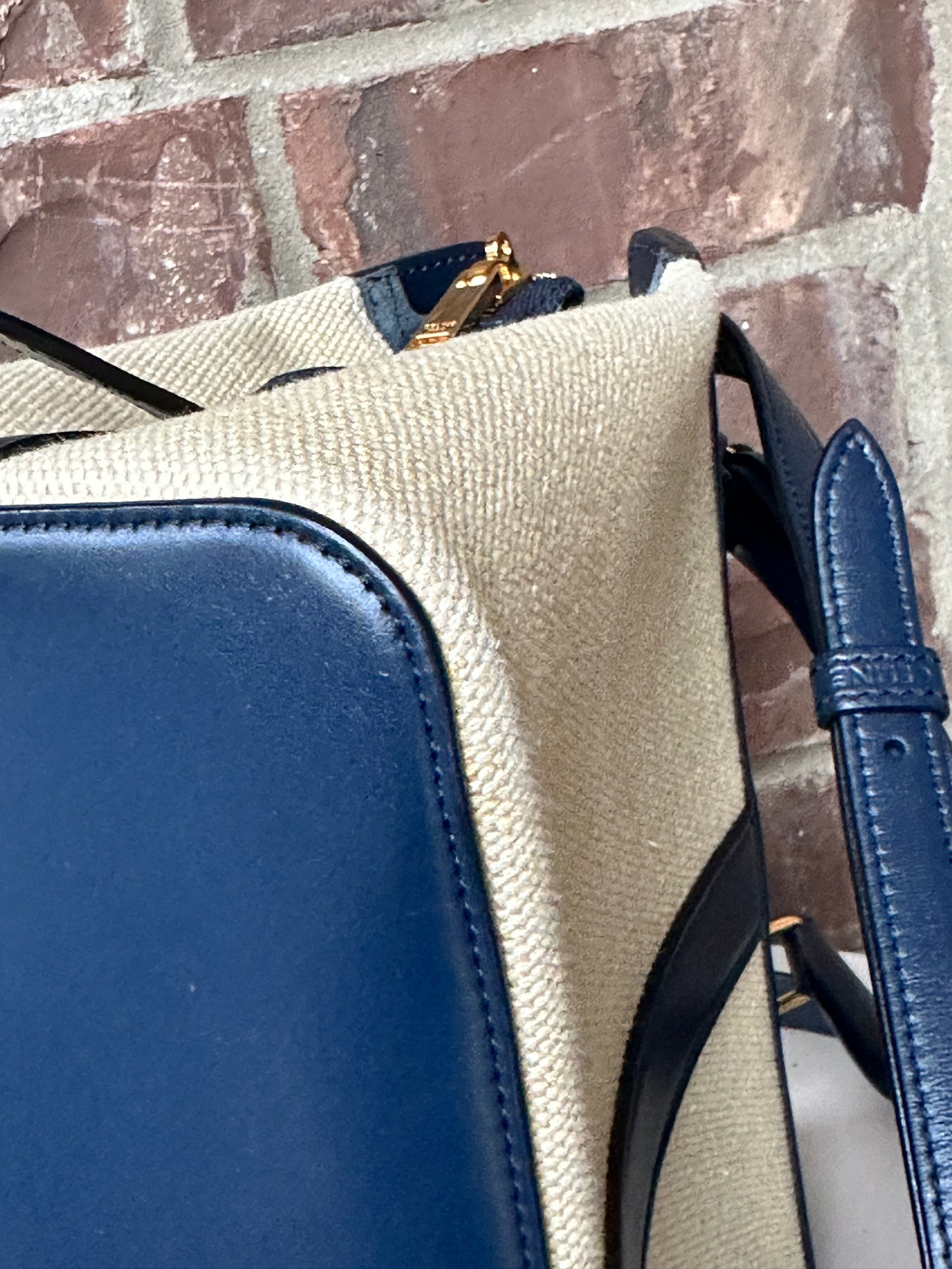 Celine Cabas de France Tote Canvas with Leather Small 43681