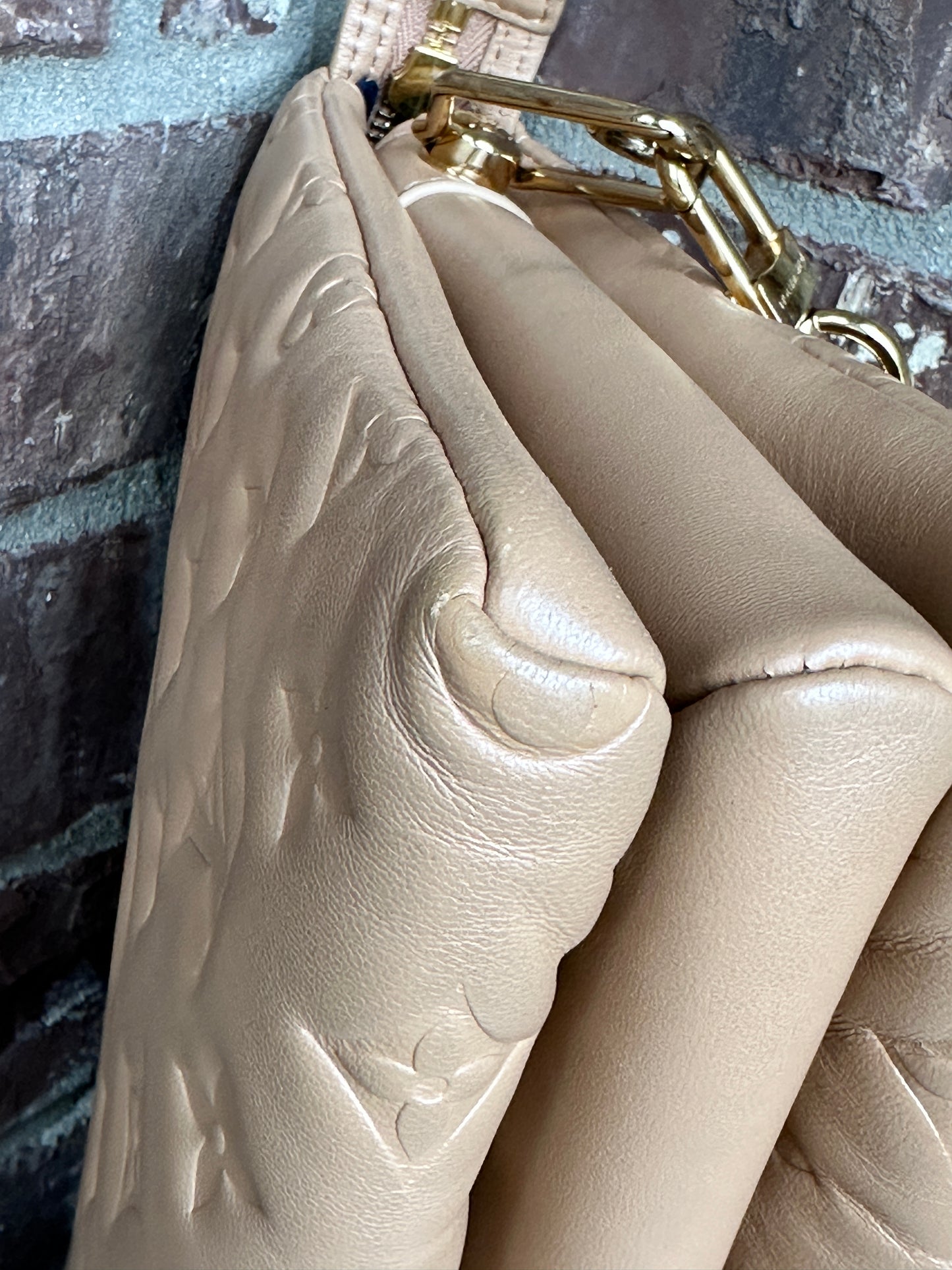 Louis Vuitton Coussin Bag Monogram Embossed Lambskin PM	67768