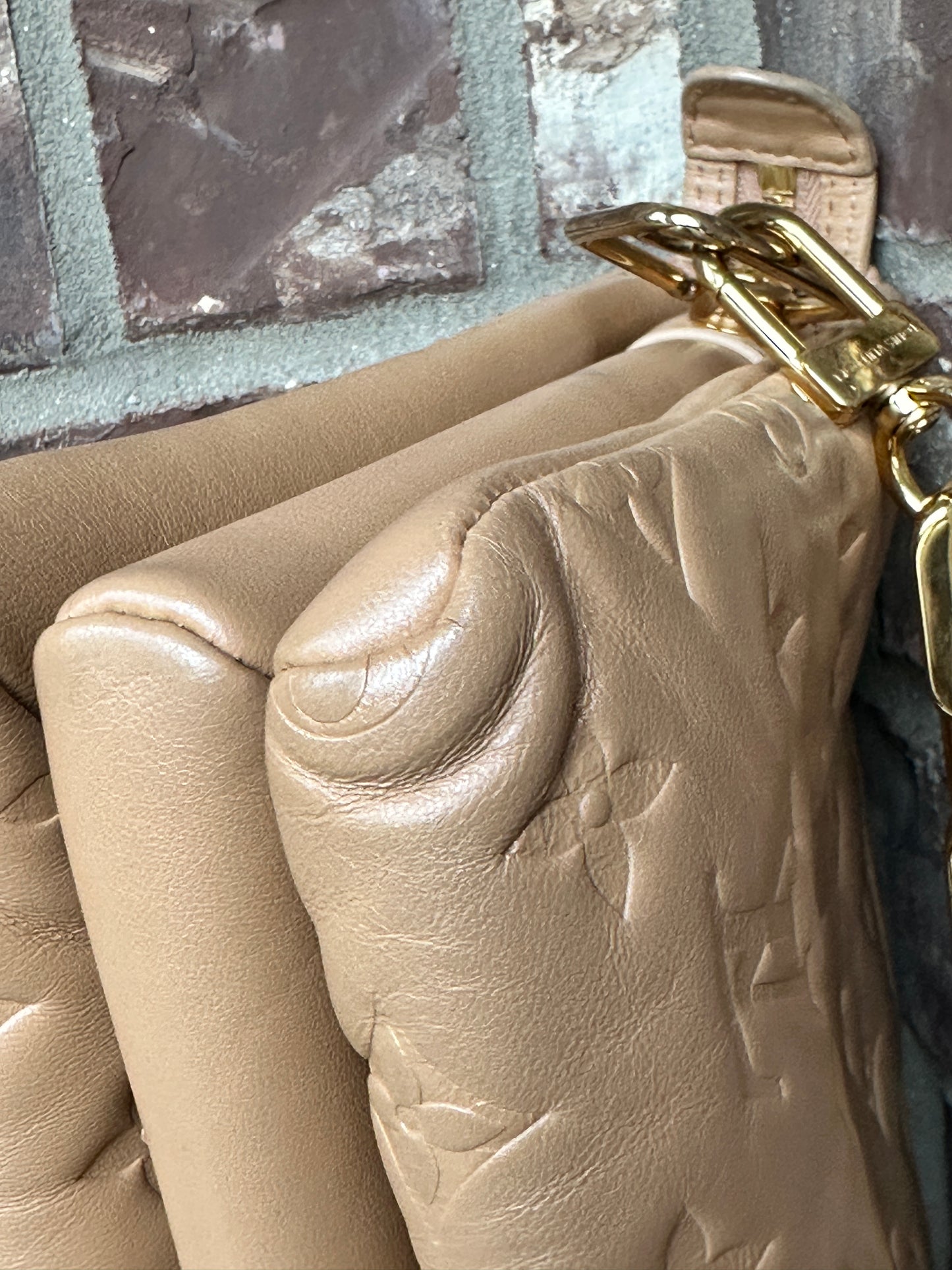 Louis Vuitton Coussin Bag Monogram Embossed Lambskin PM	67768