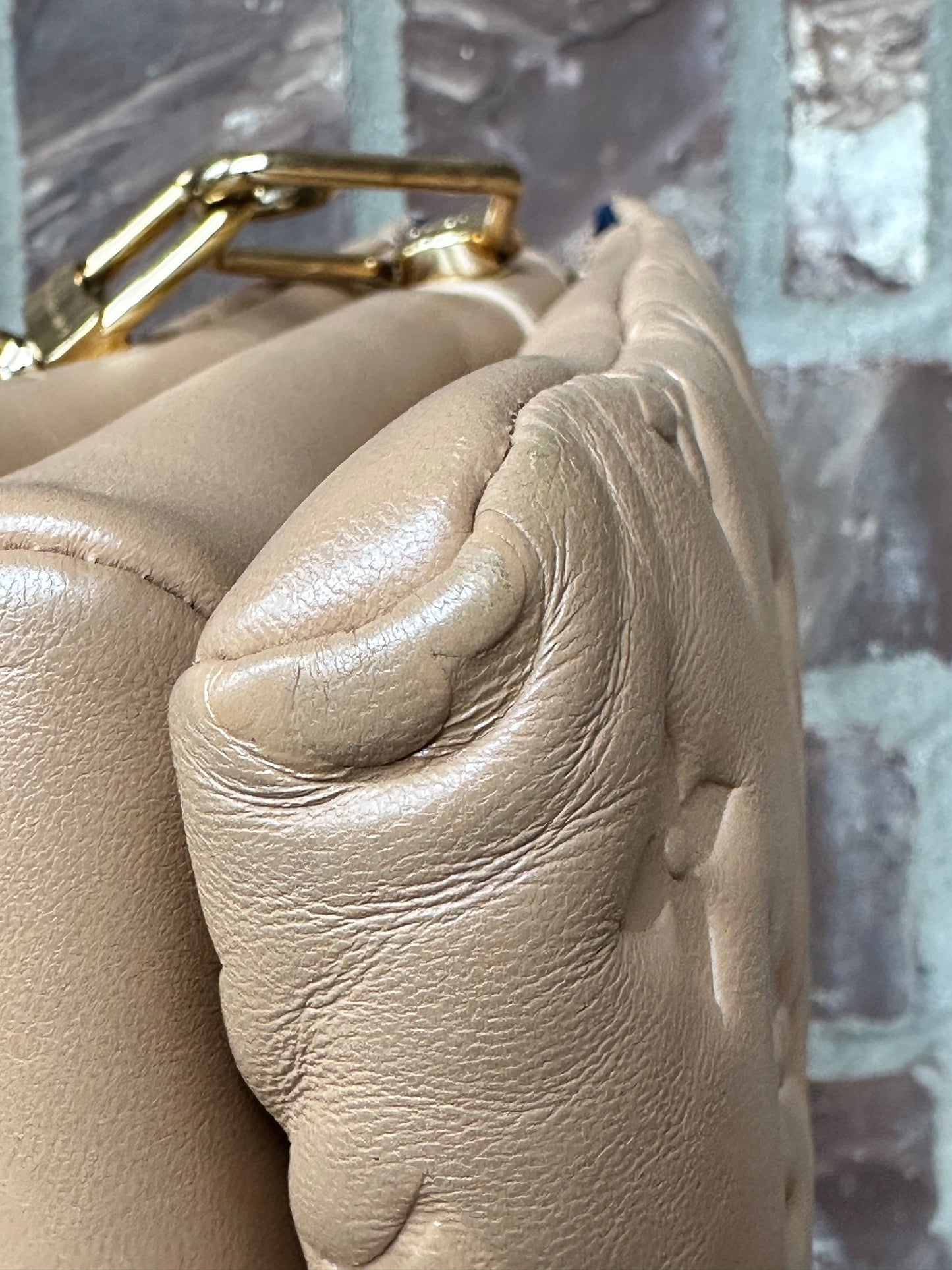 Louis Vuitton Coussin Bag Monogram Embossed Lambskin PM	67768