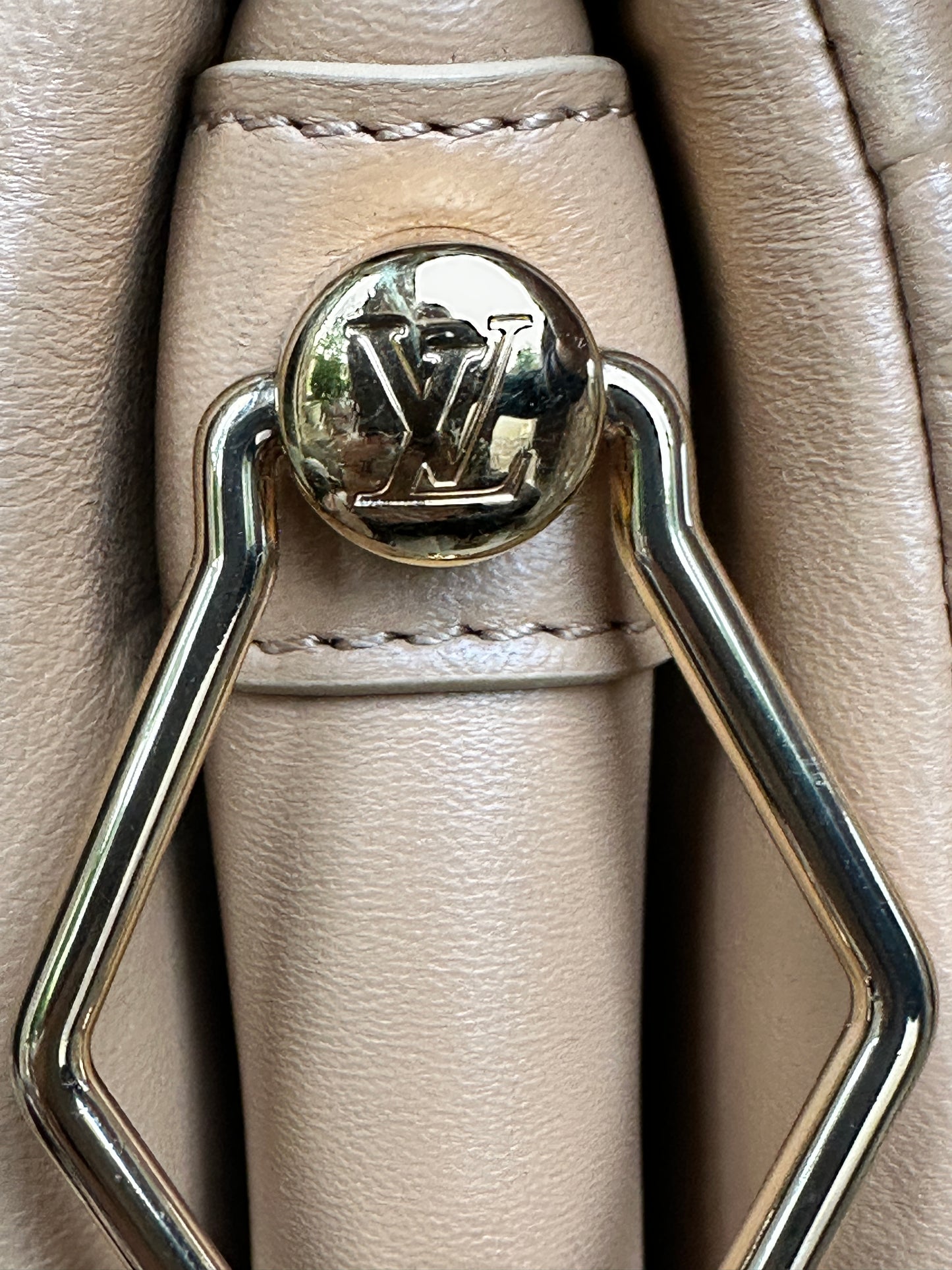 Louis Vuitton Coussin Bag Monogram Embossed Lambskin PM	67768