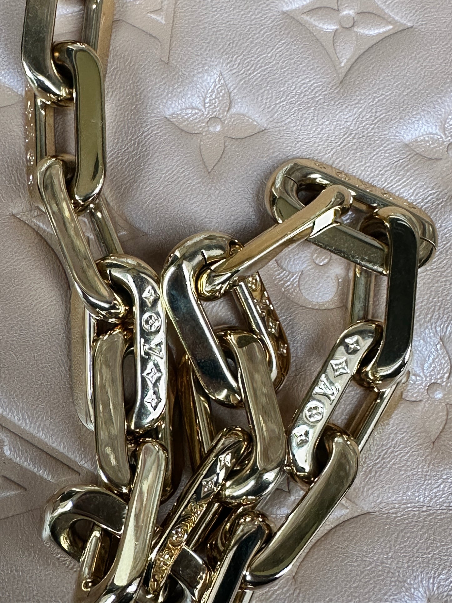 Louis Vuitton Coussin Bag Monogram Embossed Lambskin PM	67768