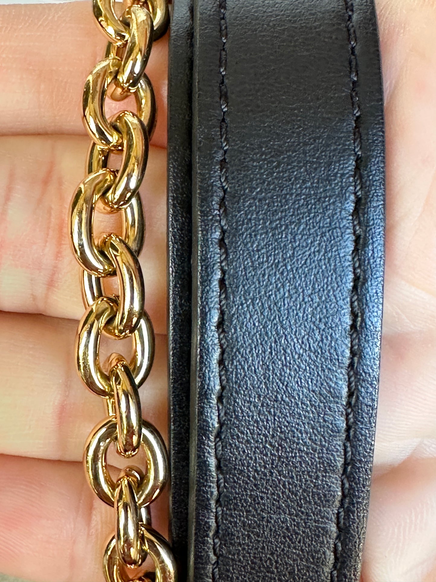 Louis Vuitton Multi Pochette Accessoires Wild at Heart Monogram Empreinte Giant	61134