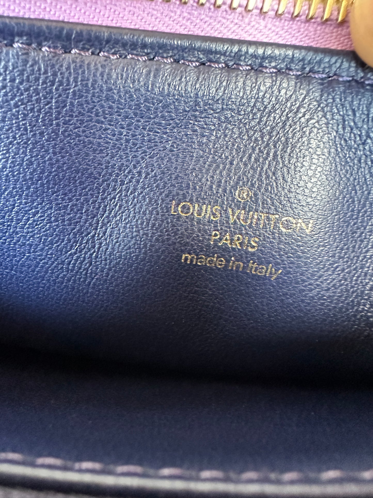 Louis Vuitton Coussin Embossed Lambskin PM