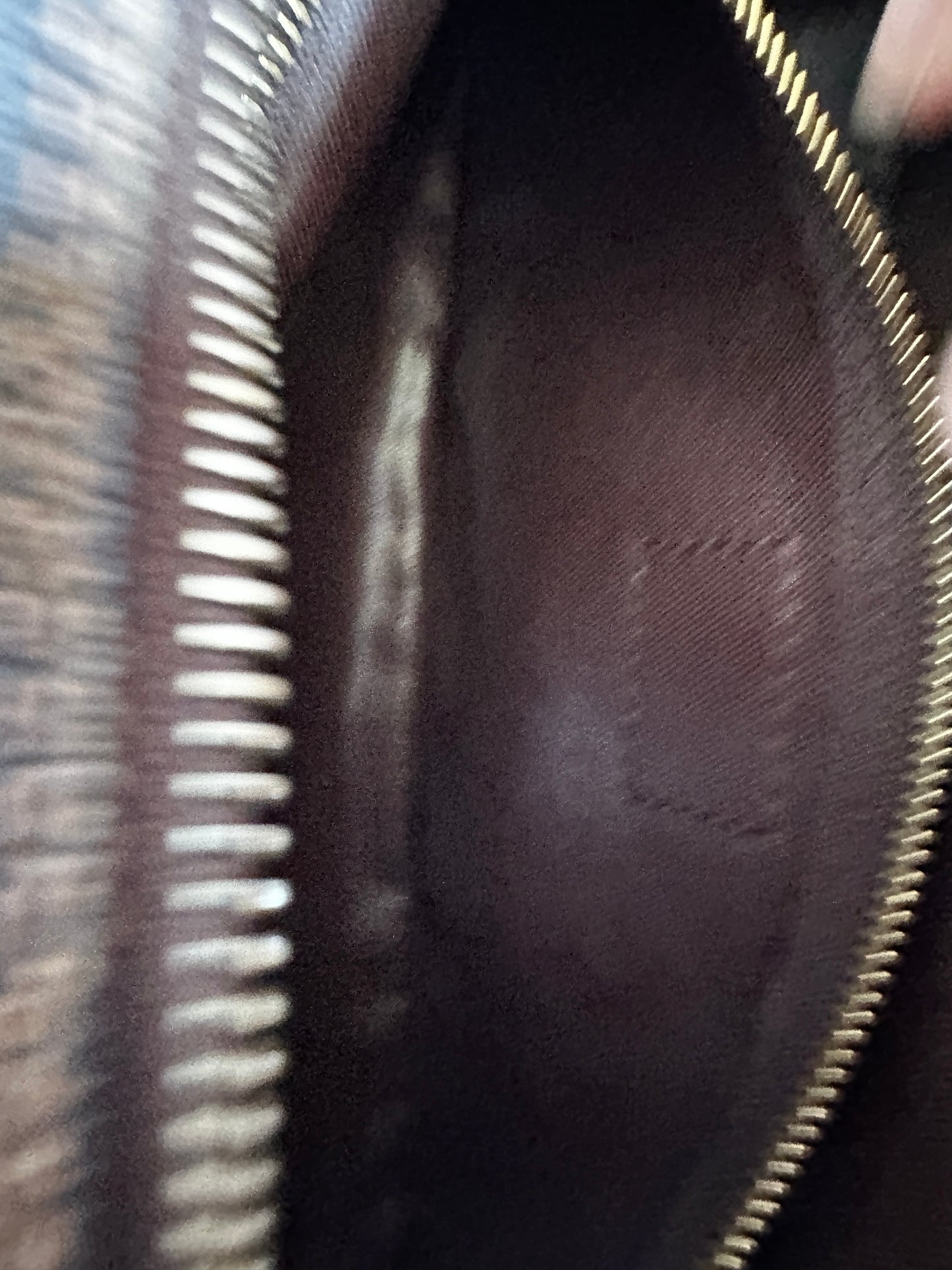 Louis Vuitton Damier Ebene Toiletry Bag 25 - 56578