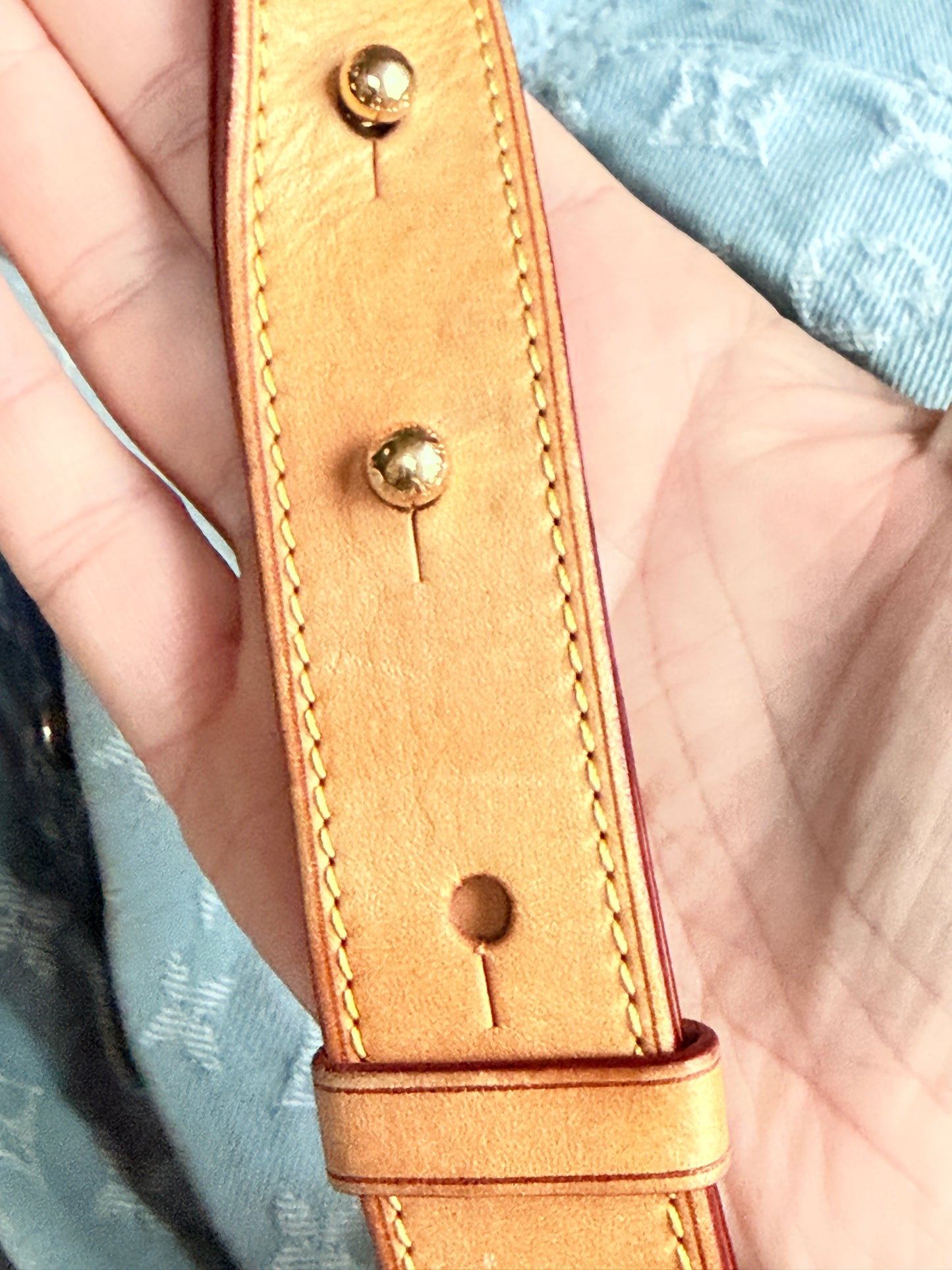 Louis Vuitton Daily Handbag Light Denim GM	74575