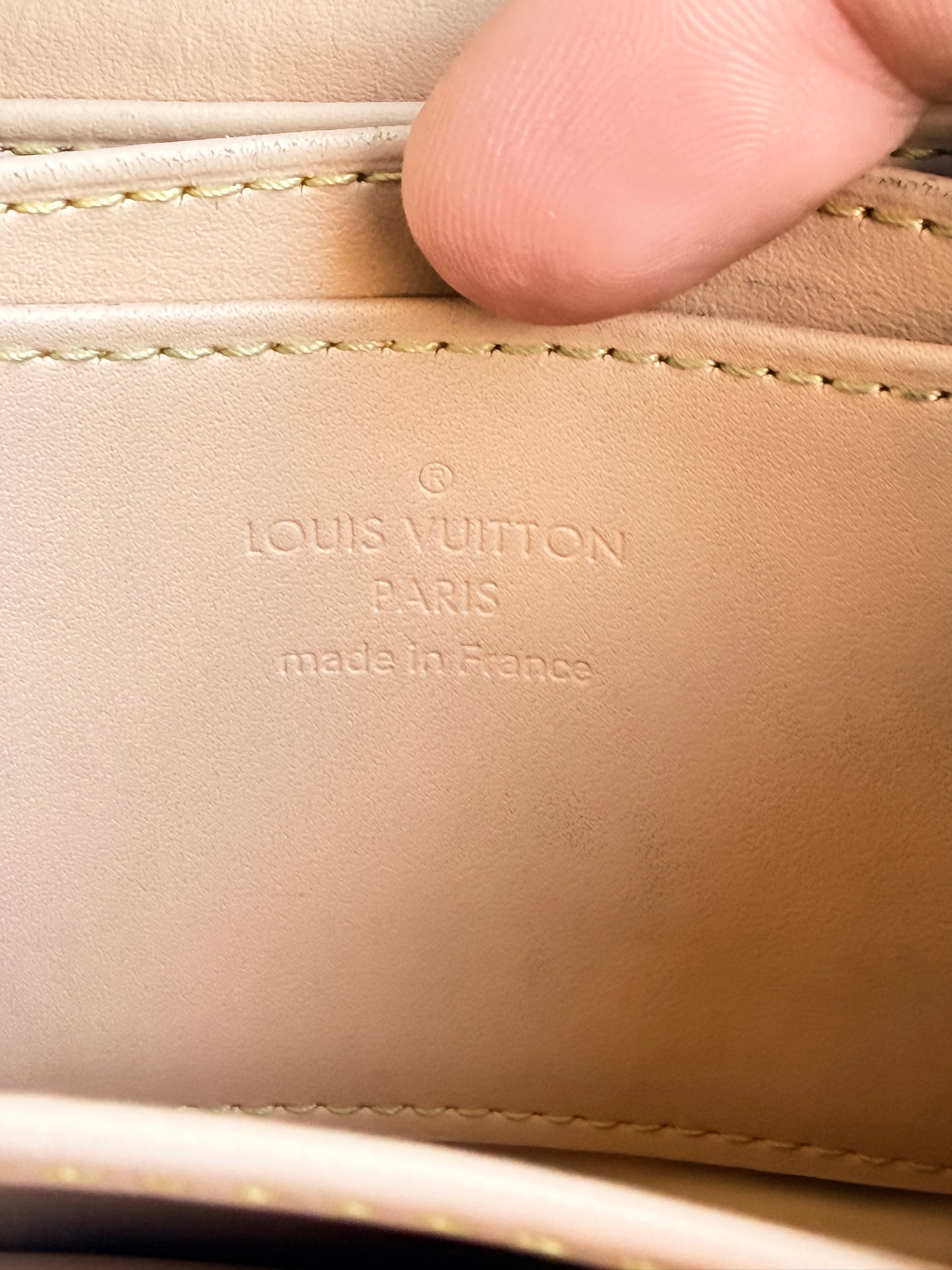 Louis Vuitton Multicolor Zippy Coin Purse 59898