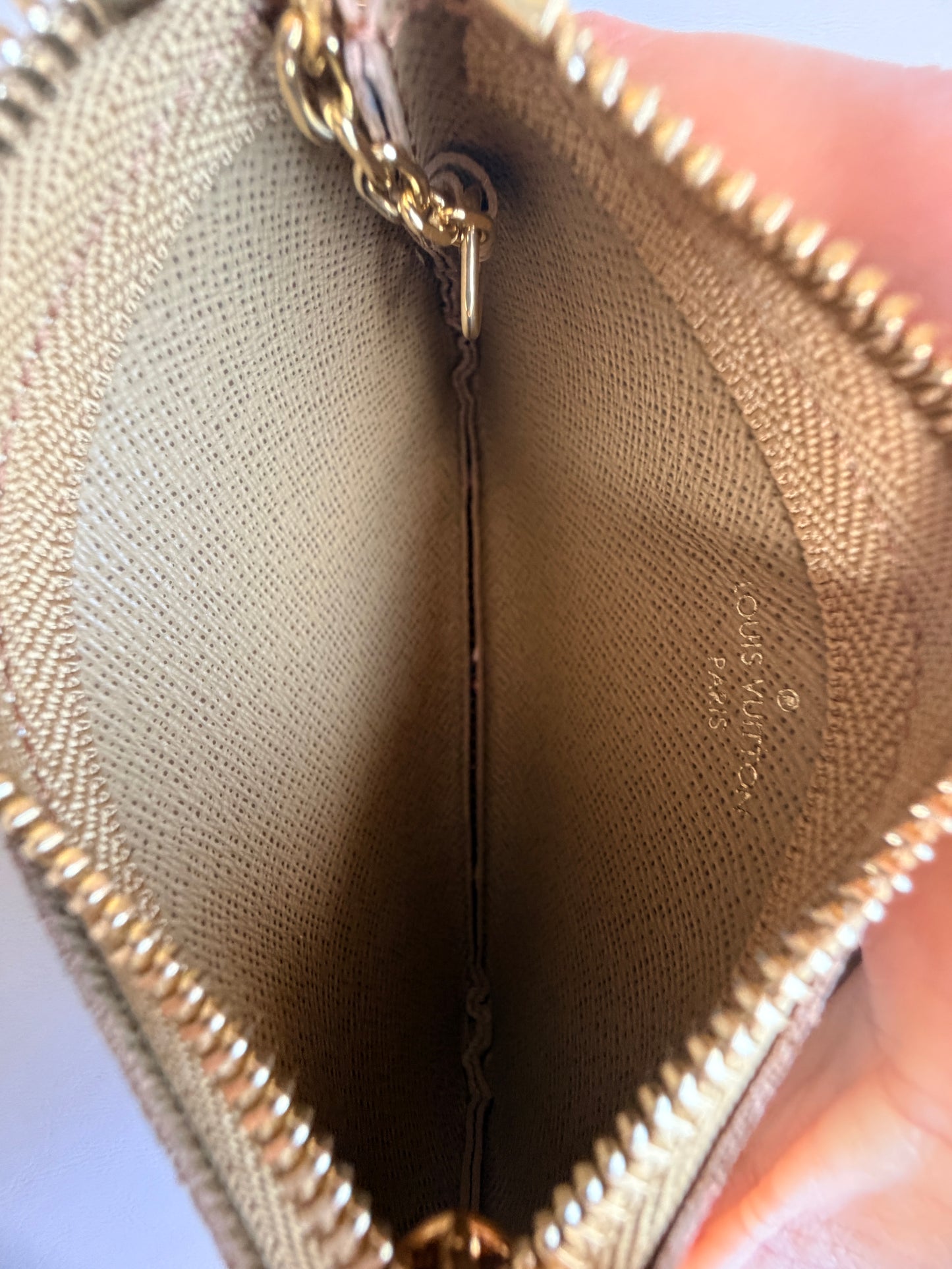 Louis Vuitton Bucket Bag Limited Edition Garden Monogram Canvas Nano	43957