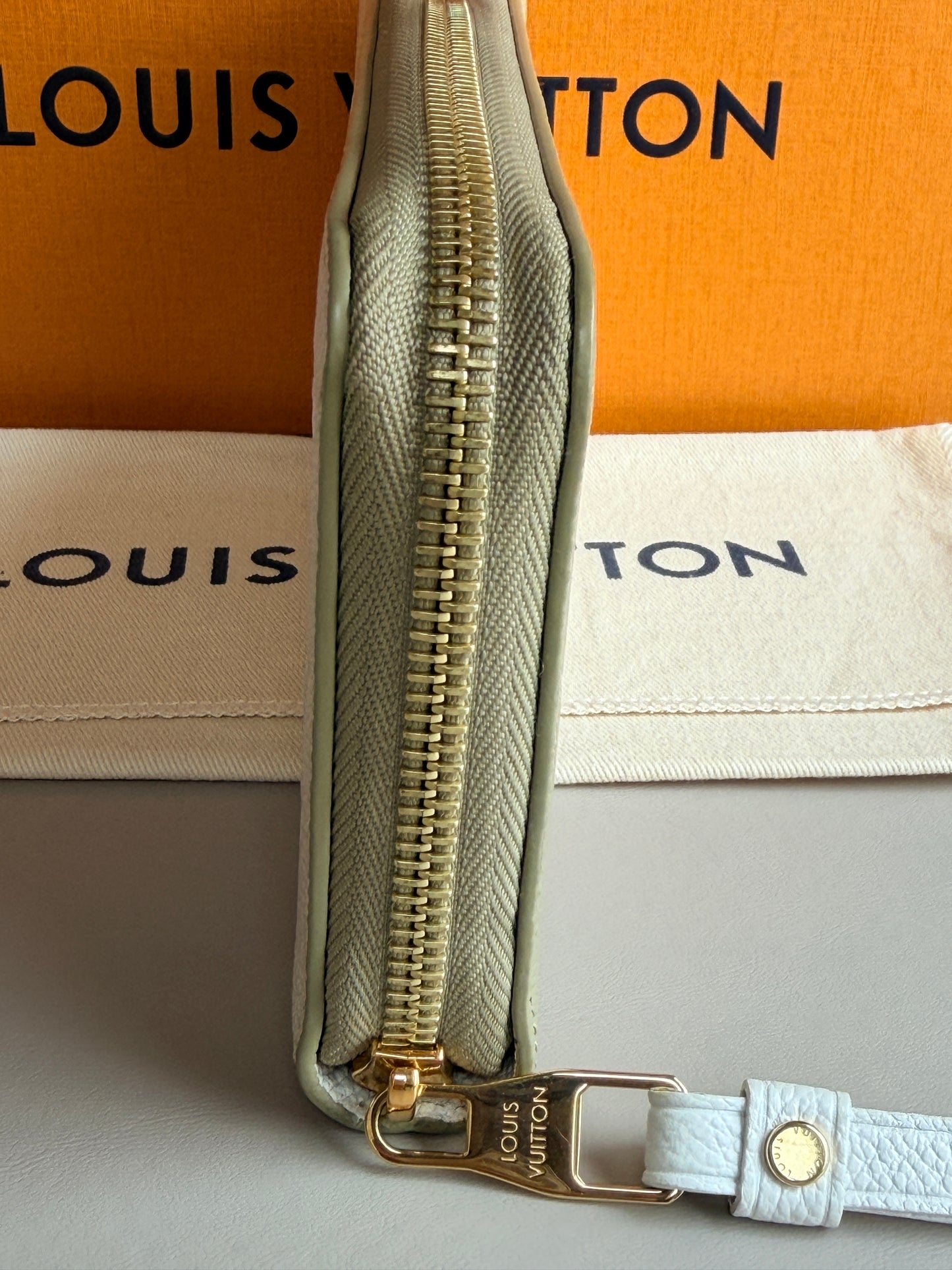 Louis Vuitton Spring In The City Zippy Wallet	29374