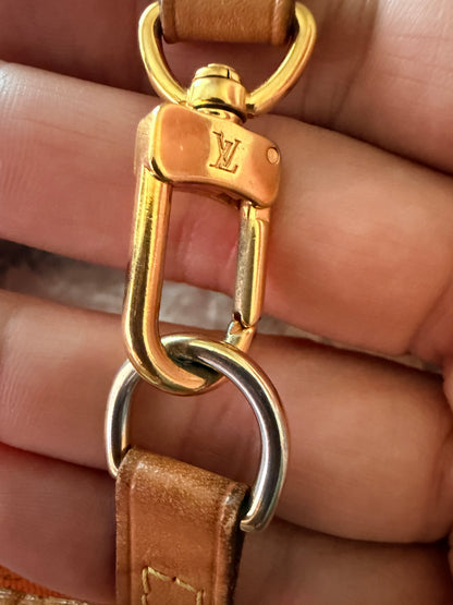Louis Vuitton Catogram Neverfull MM 58274