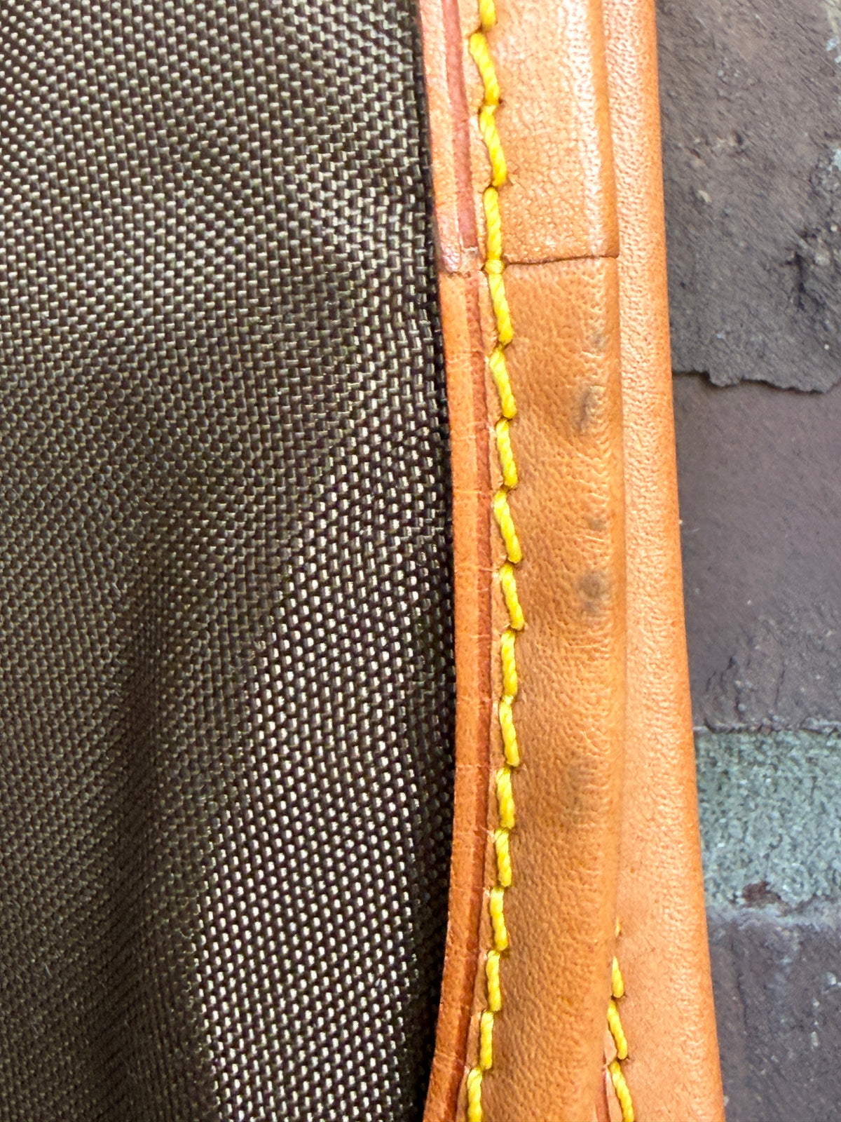 Vintage Louis Vuitton Brown Garment Bag Travel Cover Leather Trim - 3