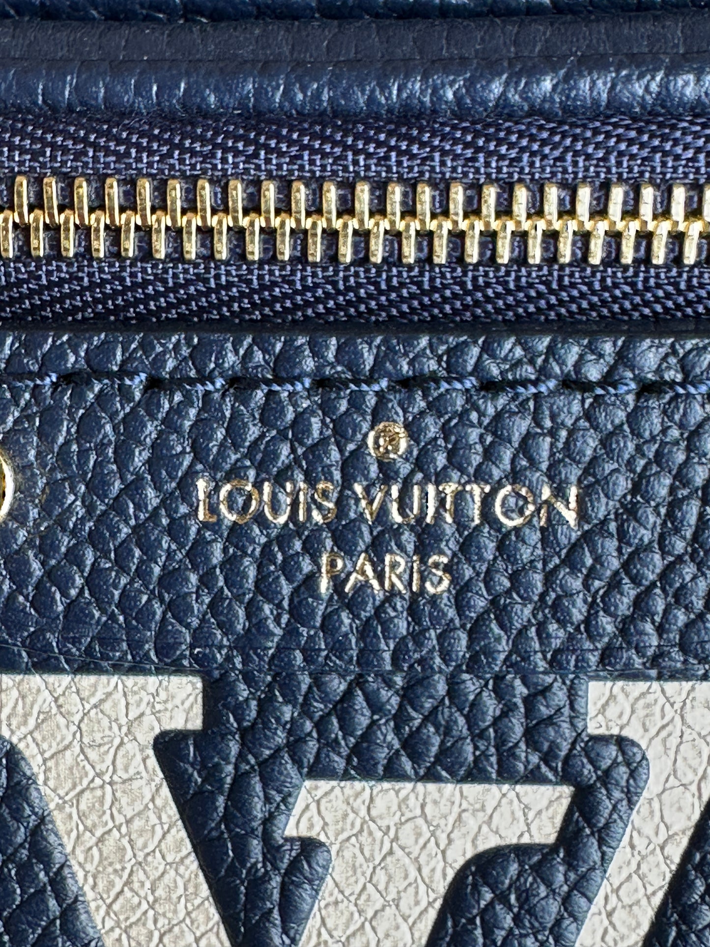 Louis Vuitton Mini Bum Bag Bicolor Monogram Empreinte Giant Blue 70032